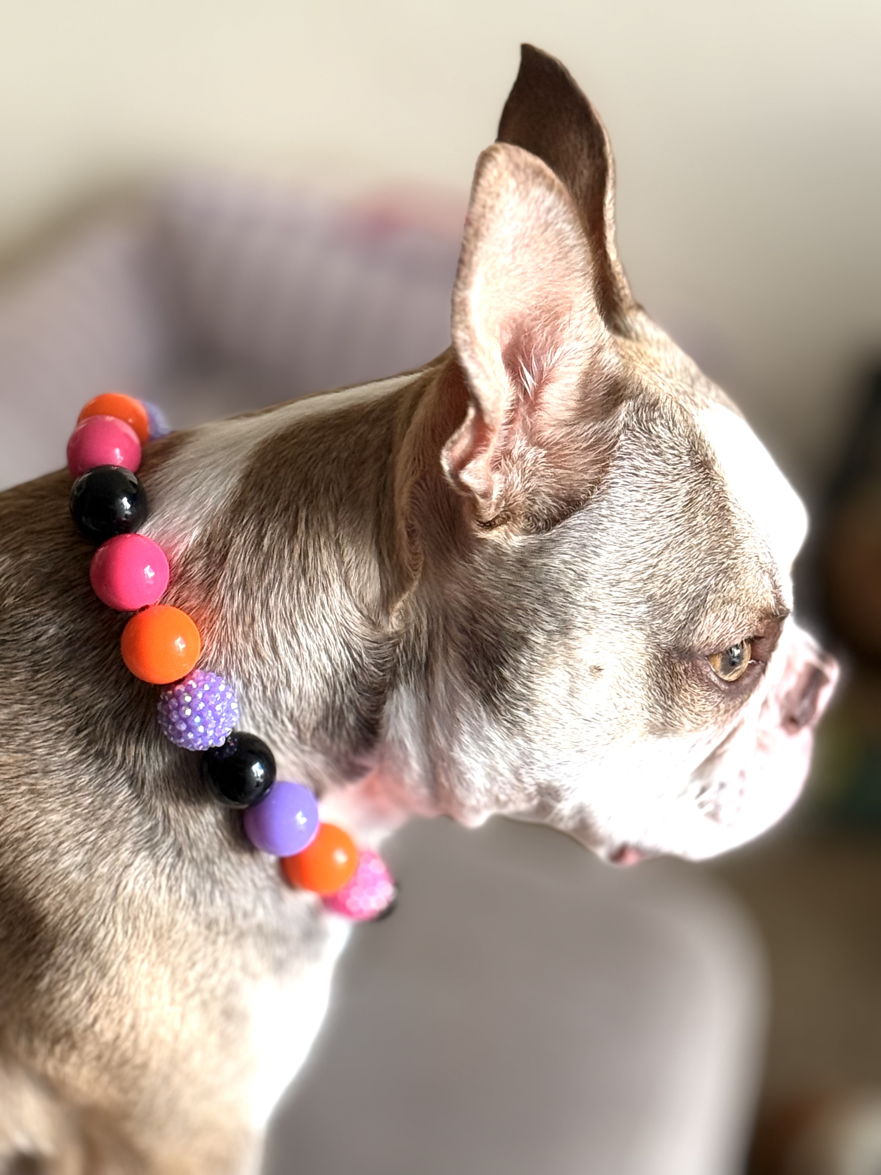 The “Main Character Energy” Bubblegum Bead Collar