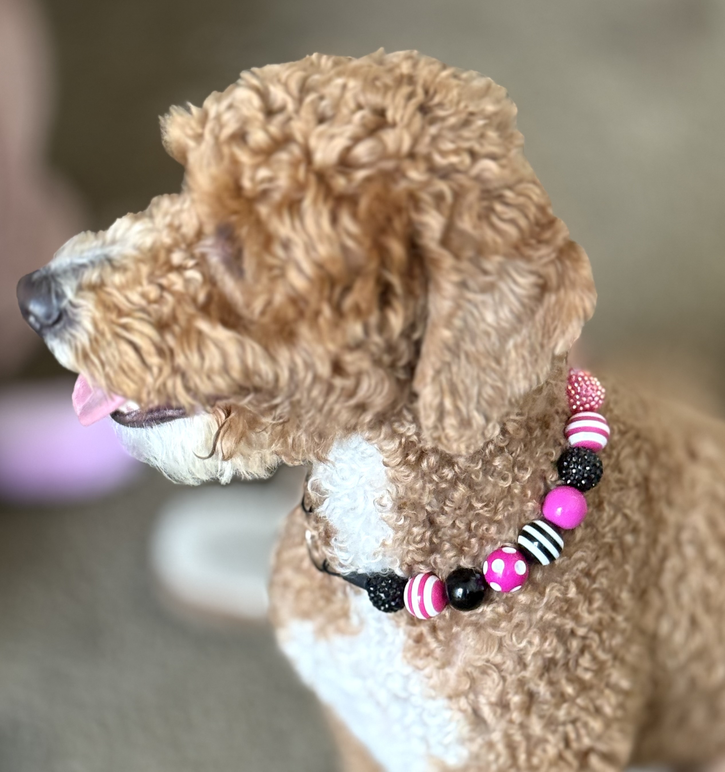 The “Hot Mess Express” Bubblegum Bead Collar
