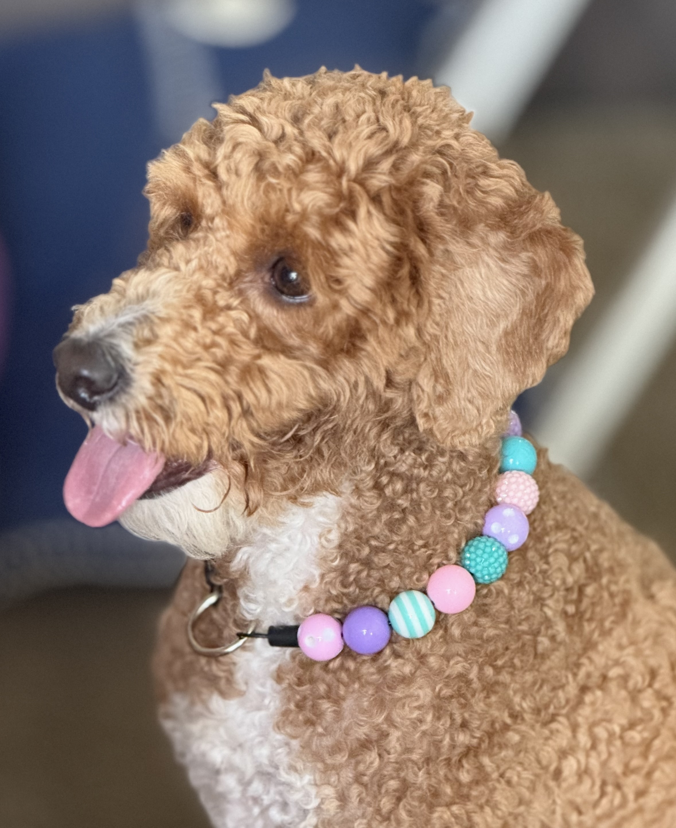 The “Pastel Pop” Bubblegum Bead Collar