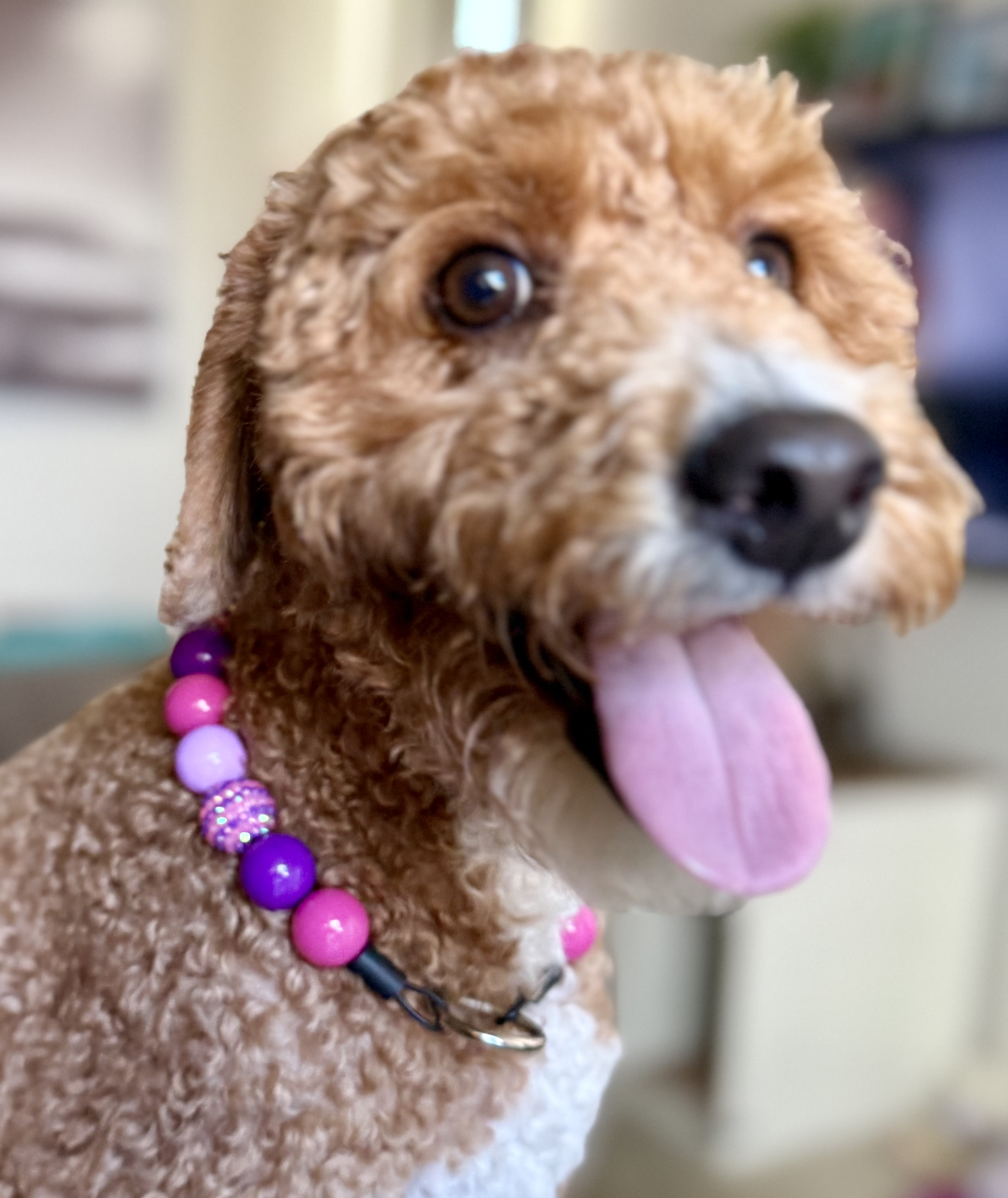 The Glamazon Bubblegum Bead Collar