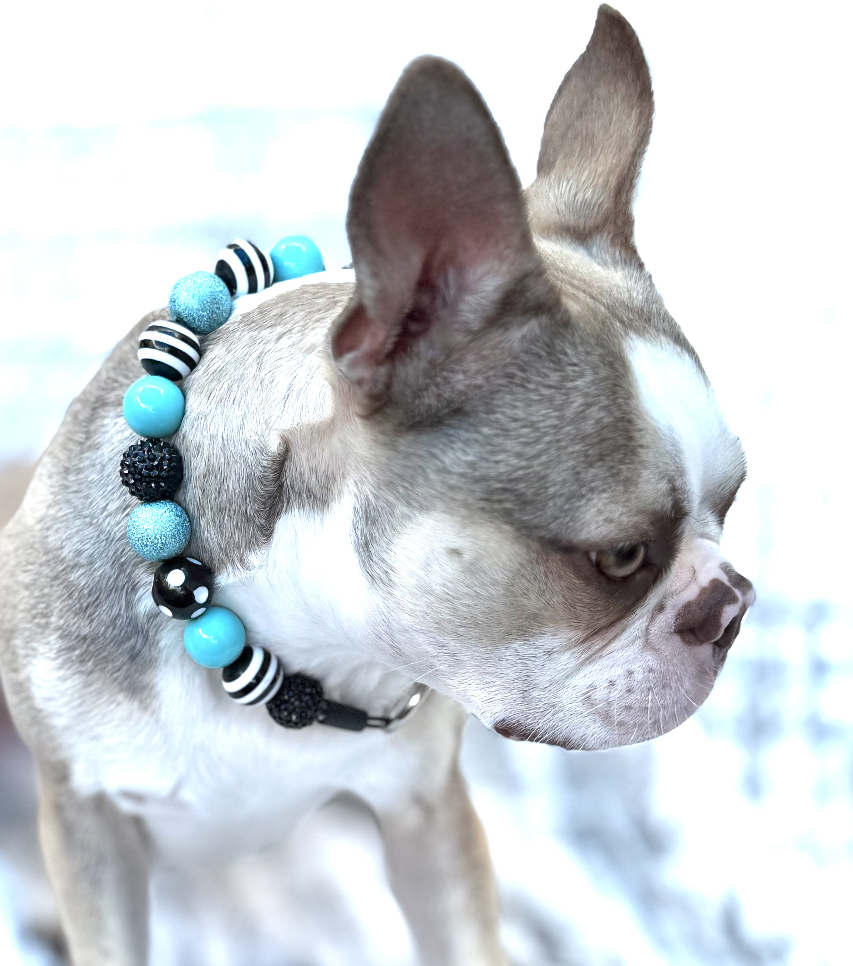 The"Salty Stripes" Bubblegum Bead Collar
