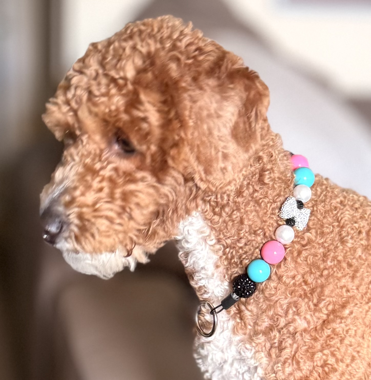 The Iconic Bubblegum Bead Collar