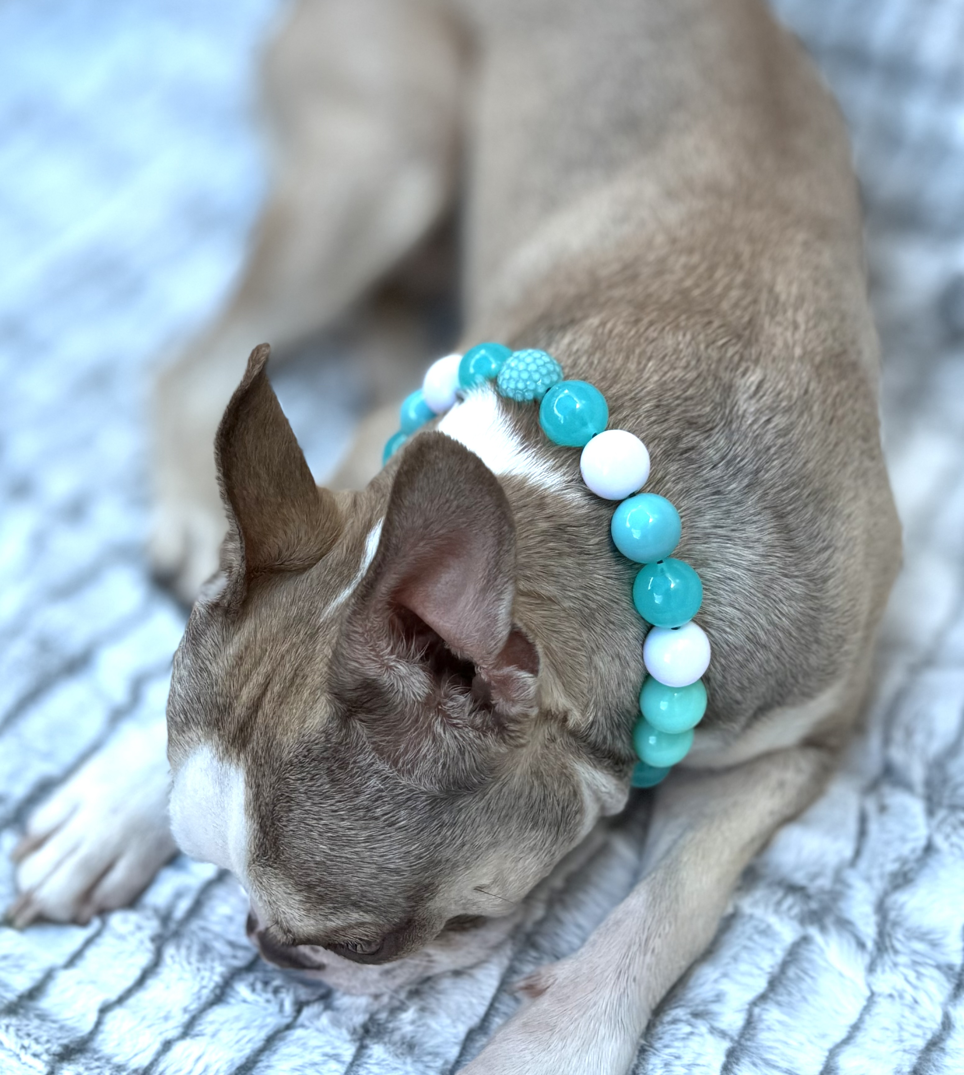 The “Aqua Crush” Bubblegum Bead Collar