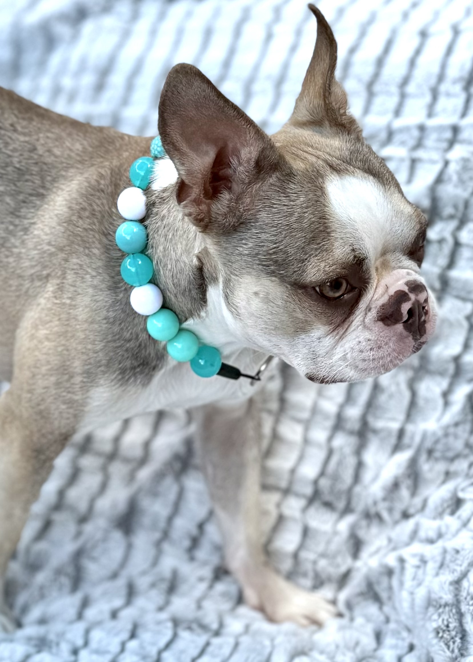 The “Aqua Crush” Bubblegum Bead Collar