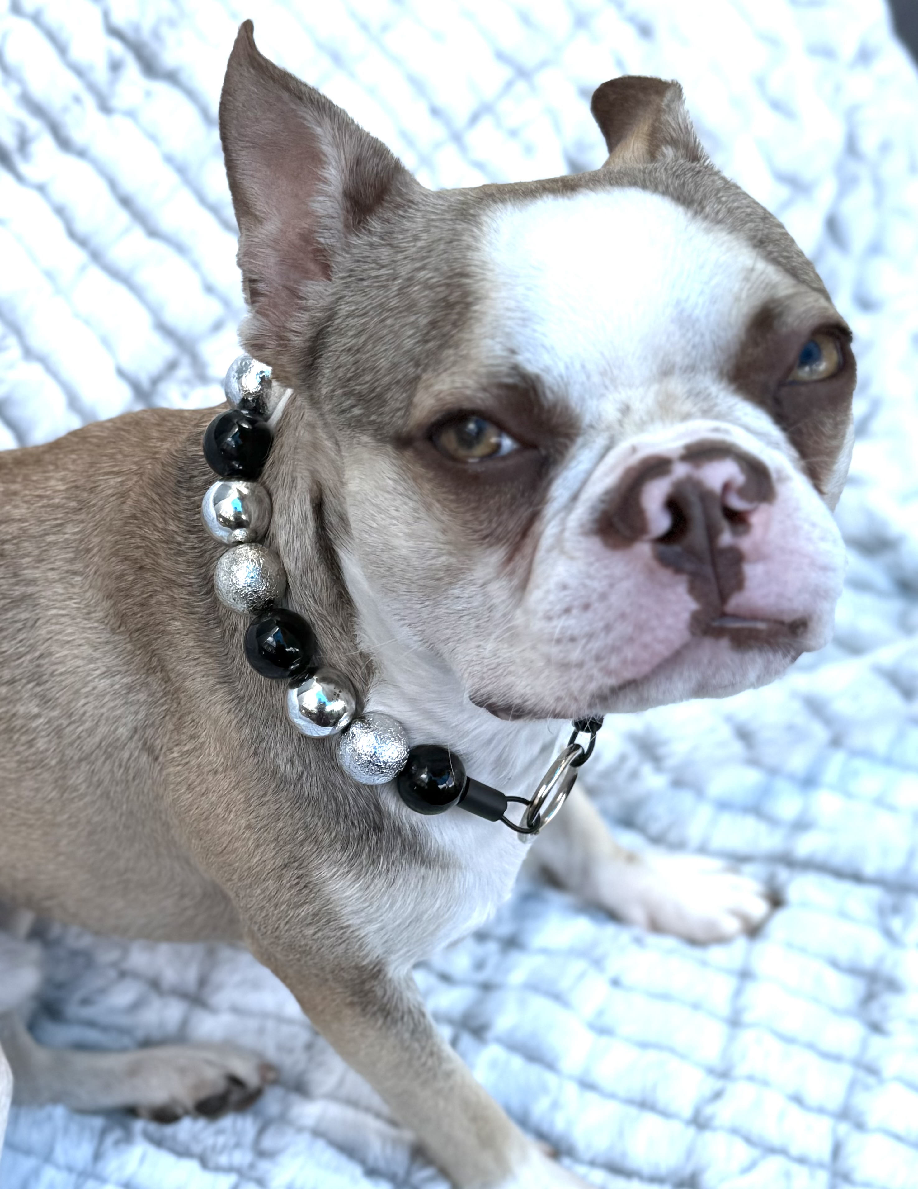 The Midnight Muse Bubblegum Bead Collar