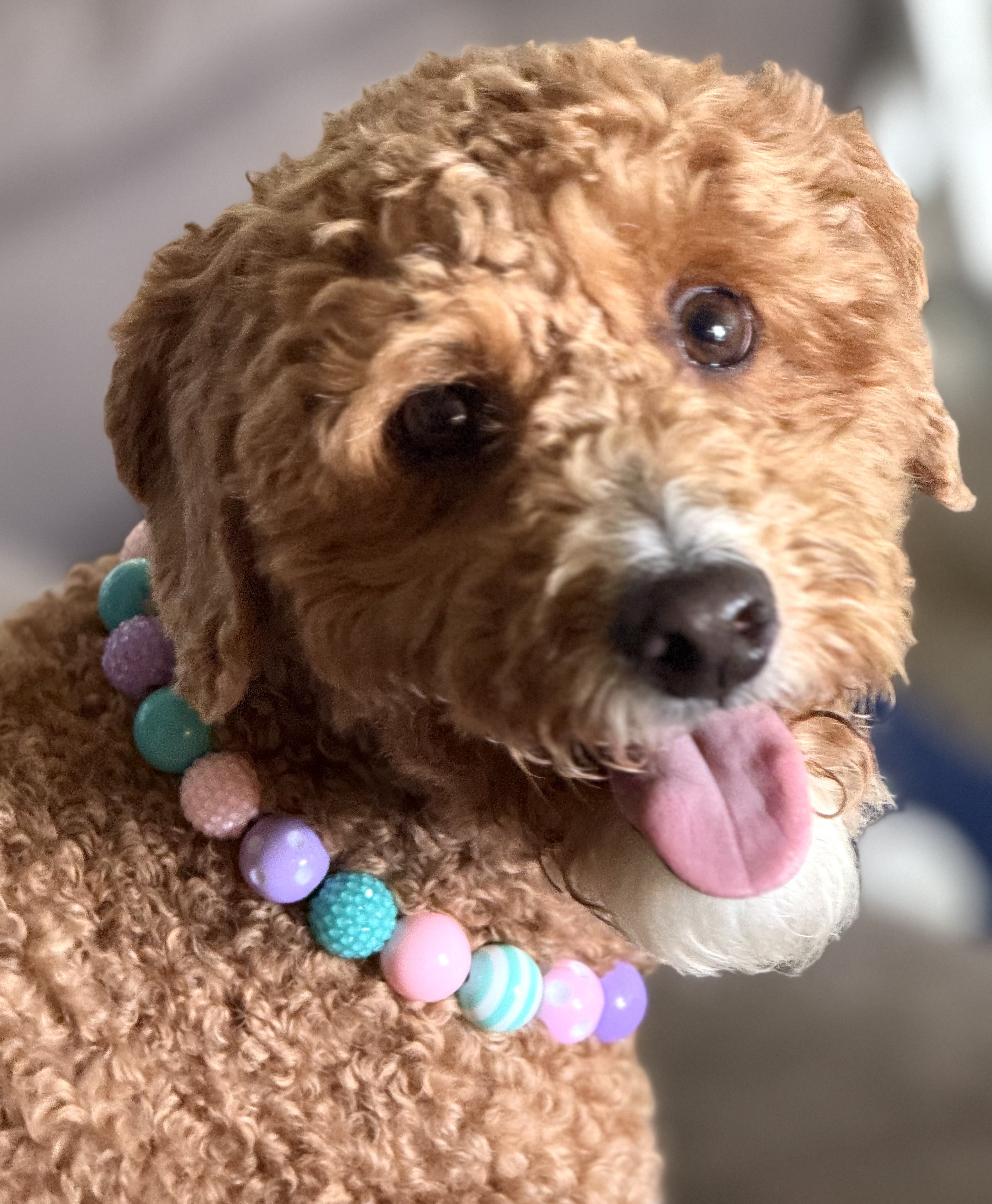 The “Pastel Pop” Bubblegum Bead Collar