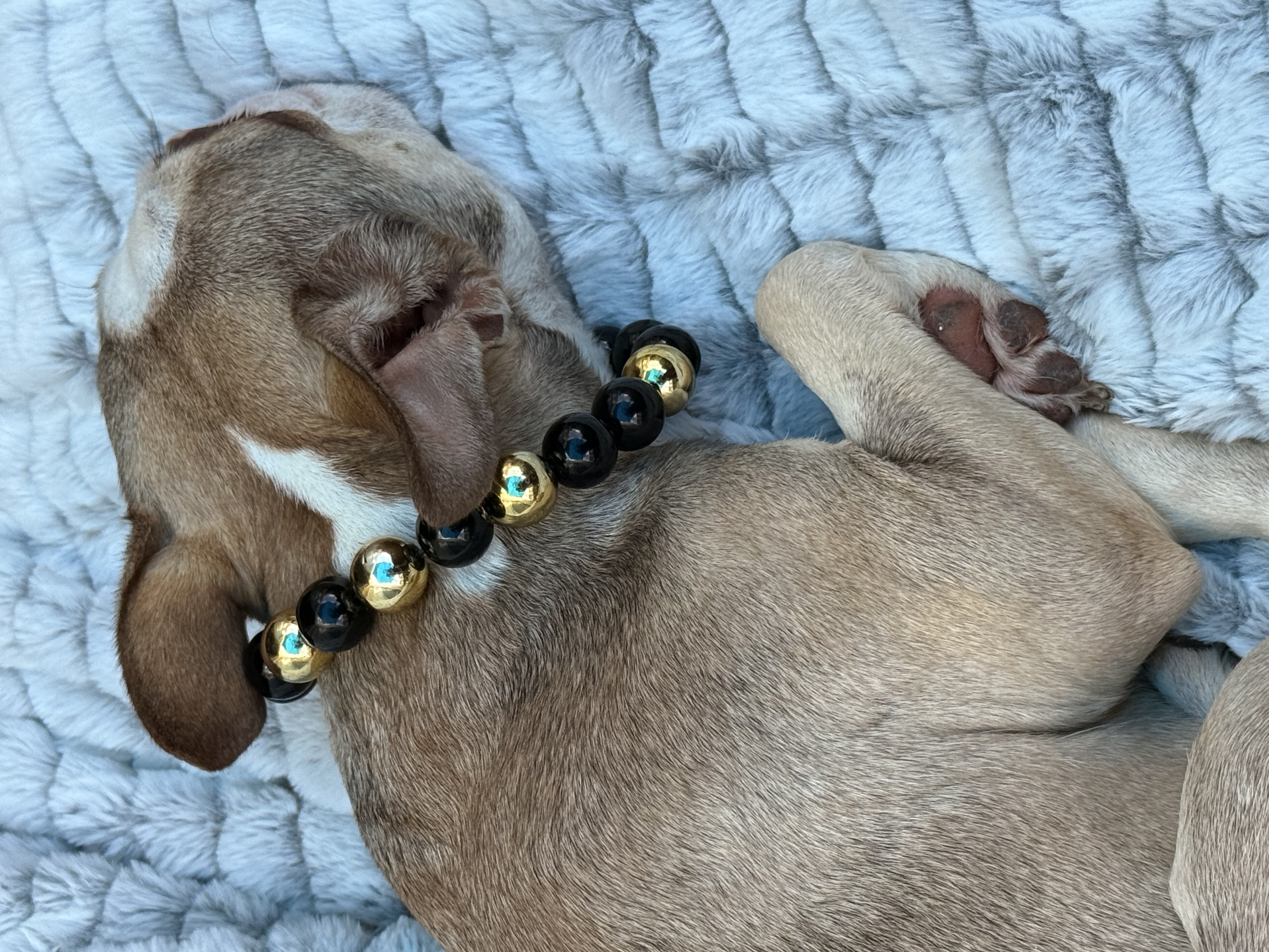 The “Golden Hour” Bubblegum Bead Collar