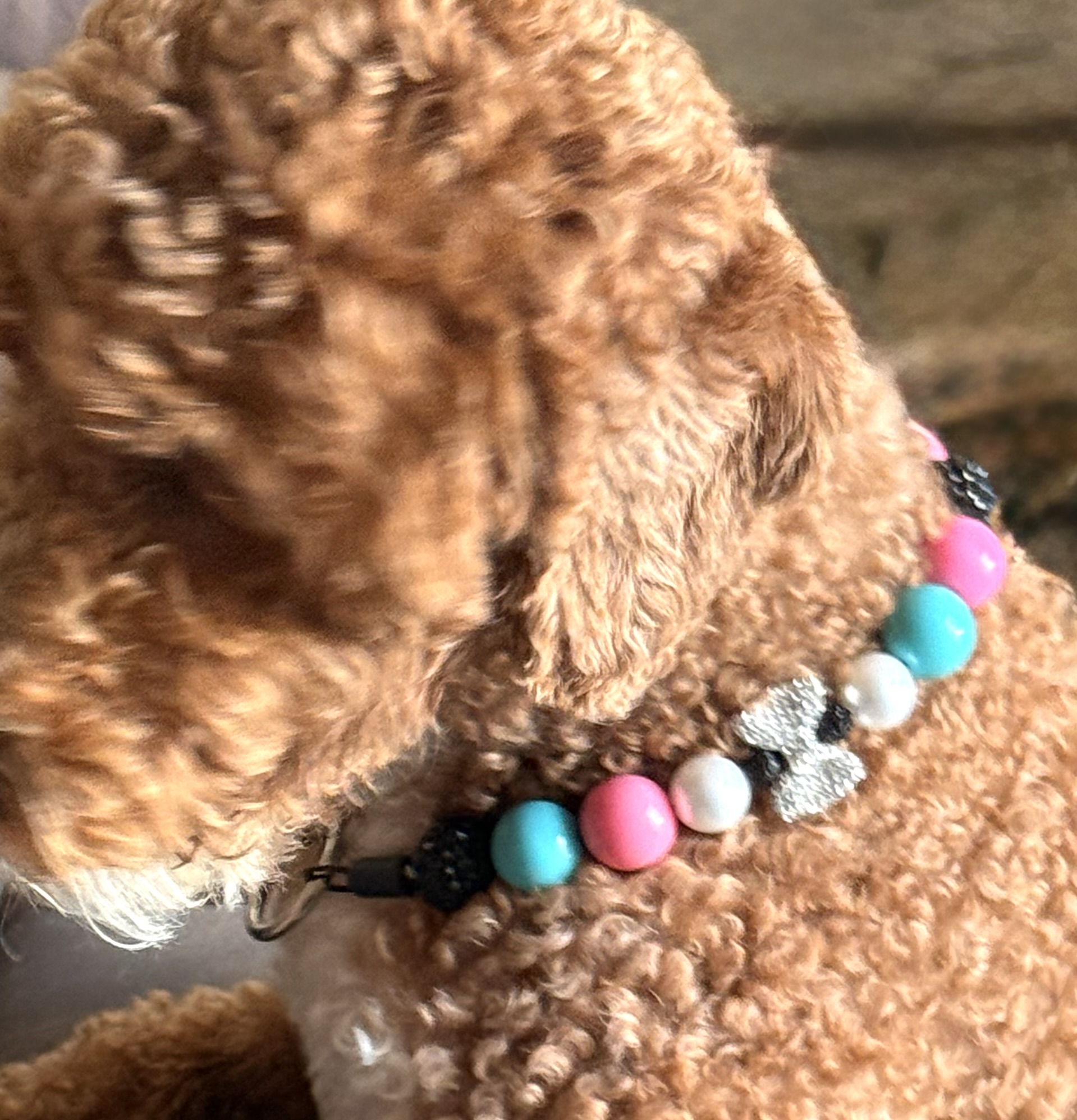 The Iconic Bubblegum Bead Collar