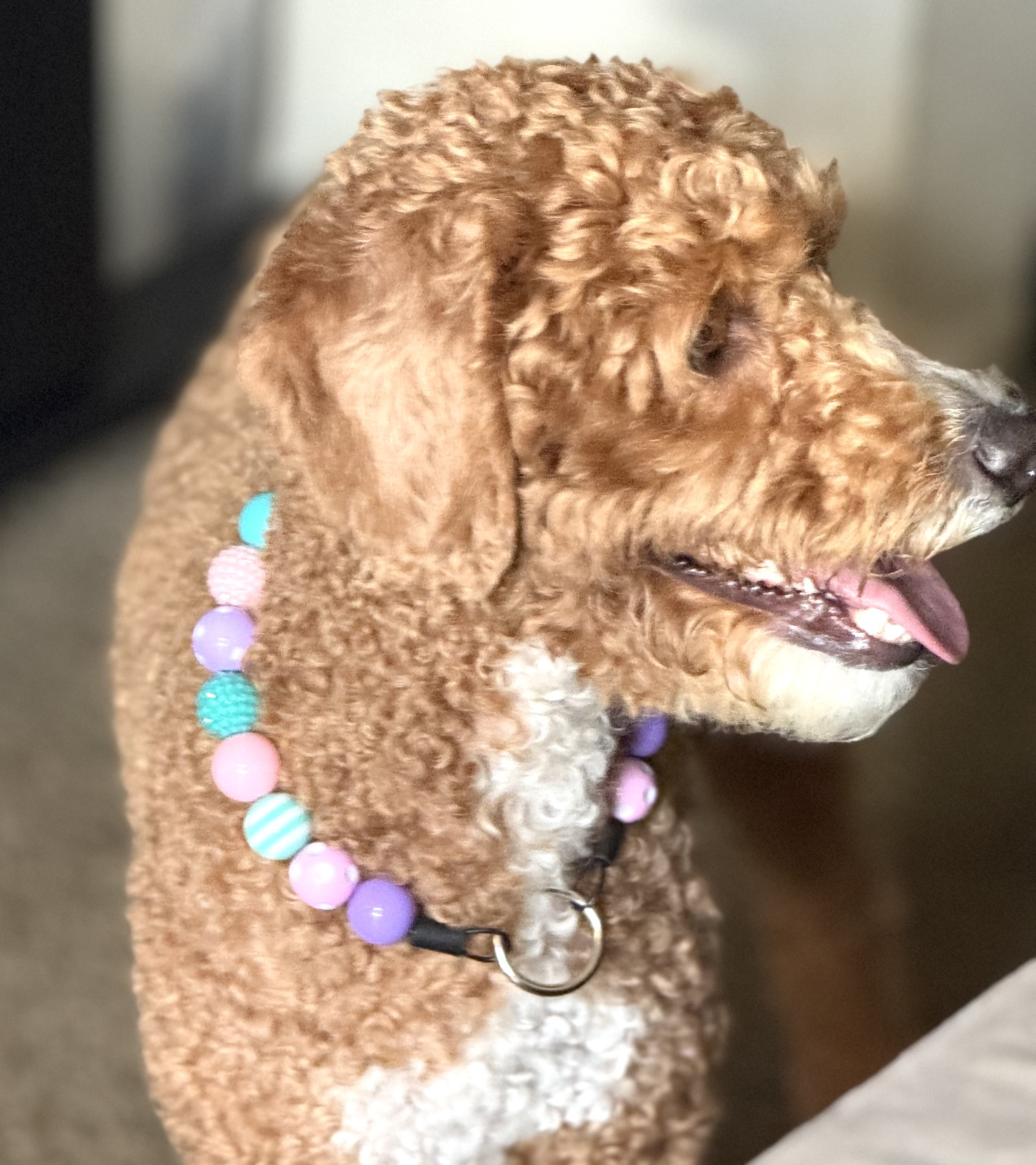 The “Pastel Pop” Bubblegum Bead Collar