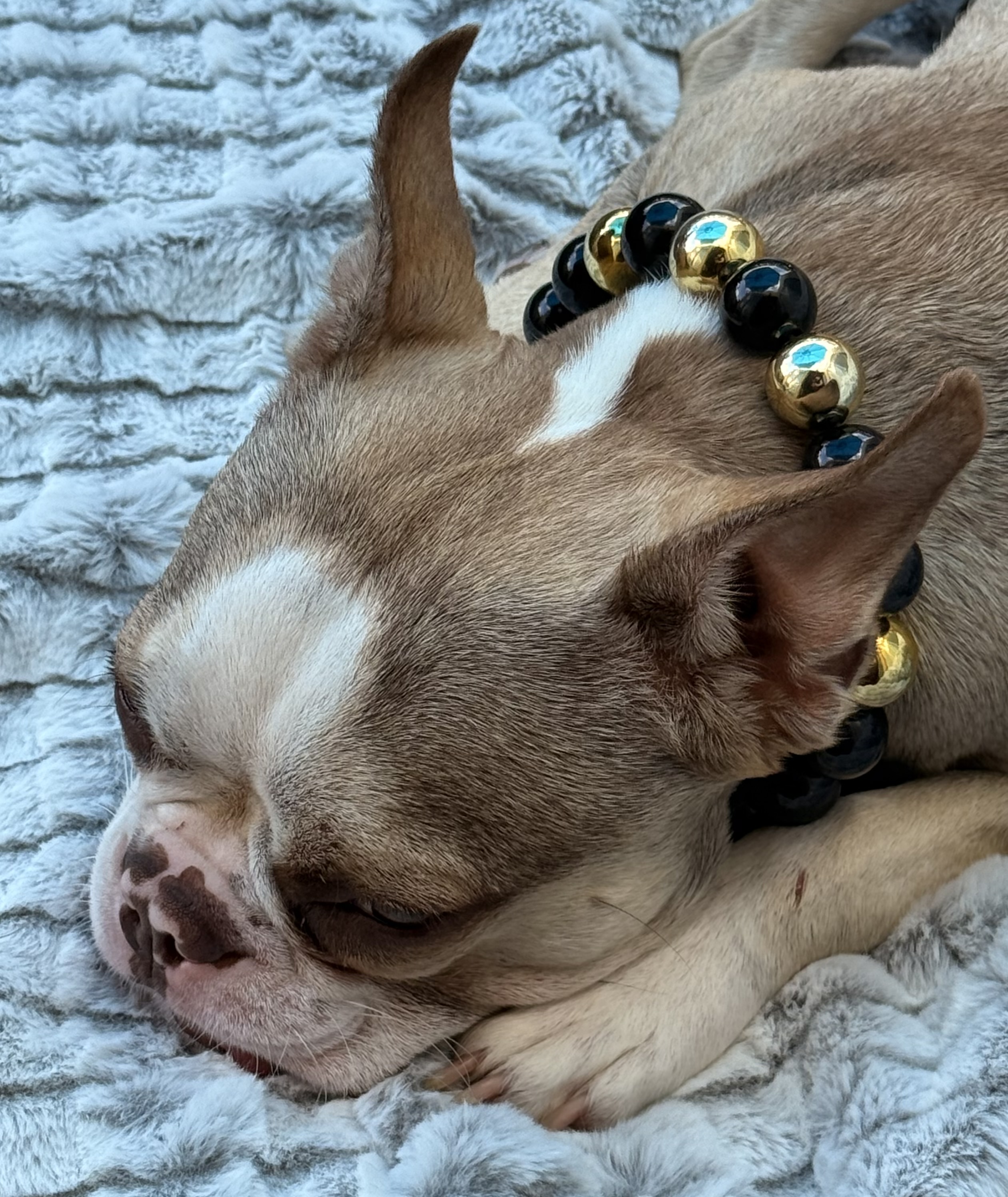 The “Golden Hour” Bubblegum Bead Collar