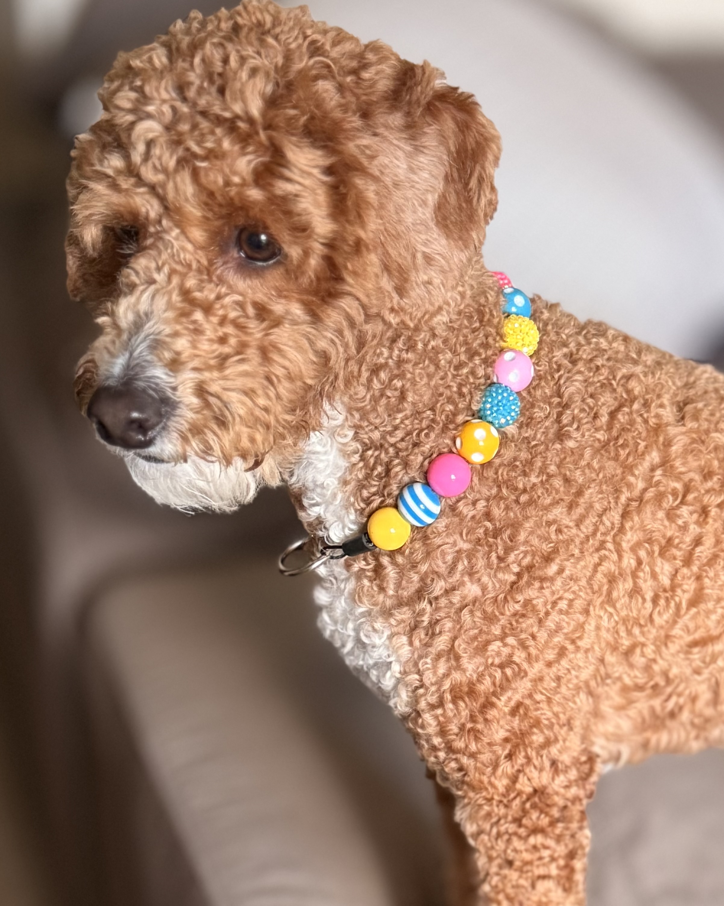 The “Bubblegum Babe" Bubblegum Bead Collar