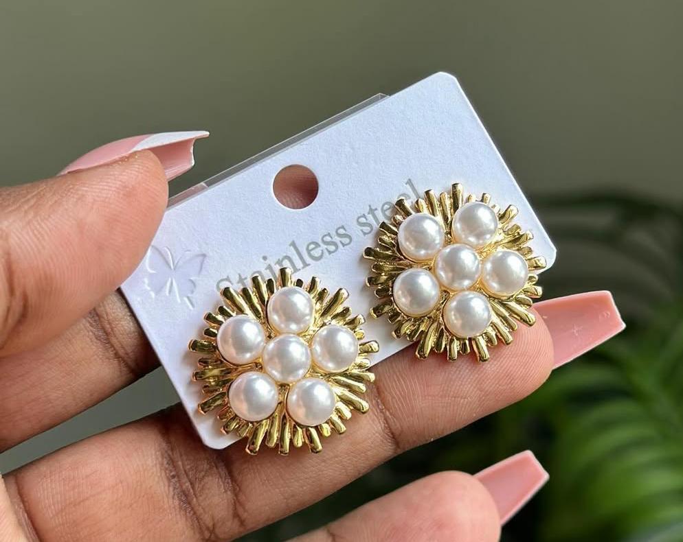 Stainless Steel Premium Quality Studs