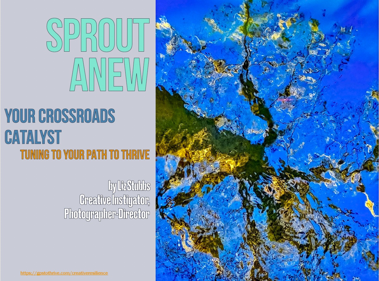 Sprout Anew: Your Crossroads Catalyst-ePub