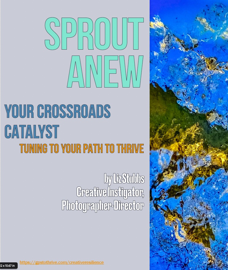 Sprout Anew: Your Crossroads Catalyst-ePub