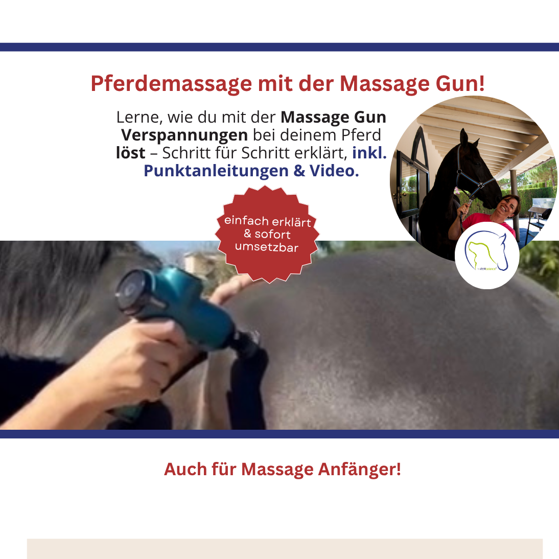 Massagepistole beim Pferd richtig einsetzen - Online Kurs