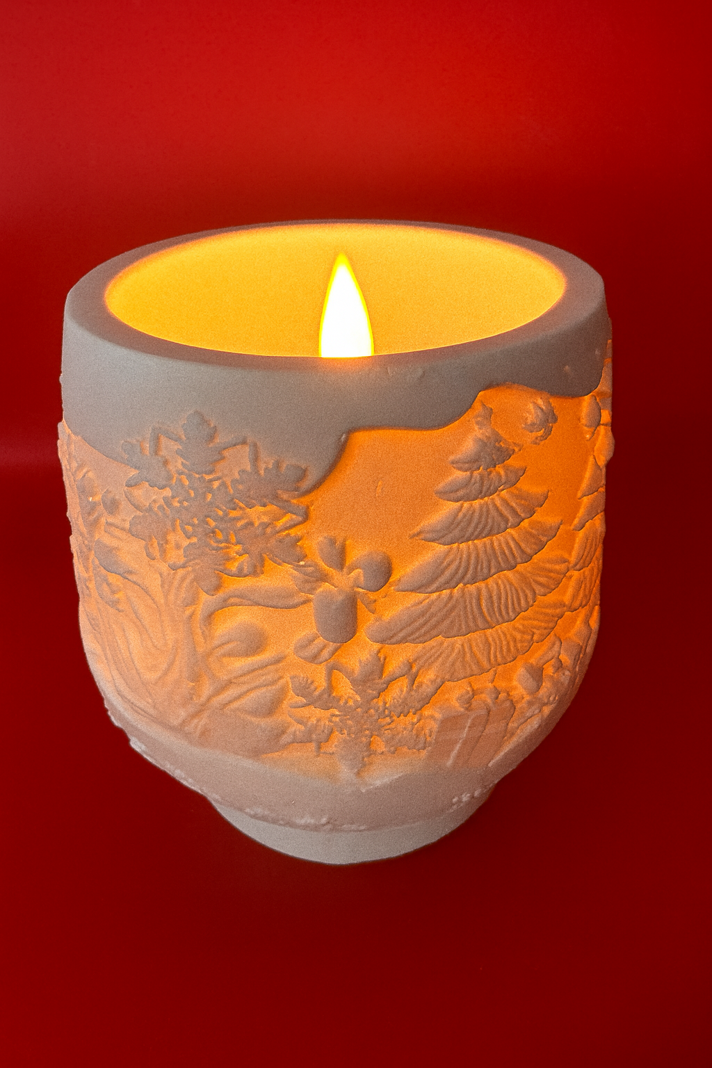 ✨ SNOWDREAM ADVENT SET