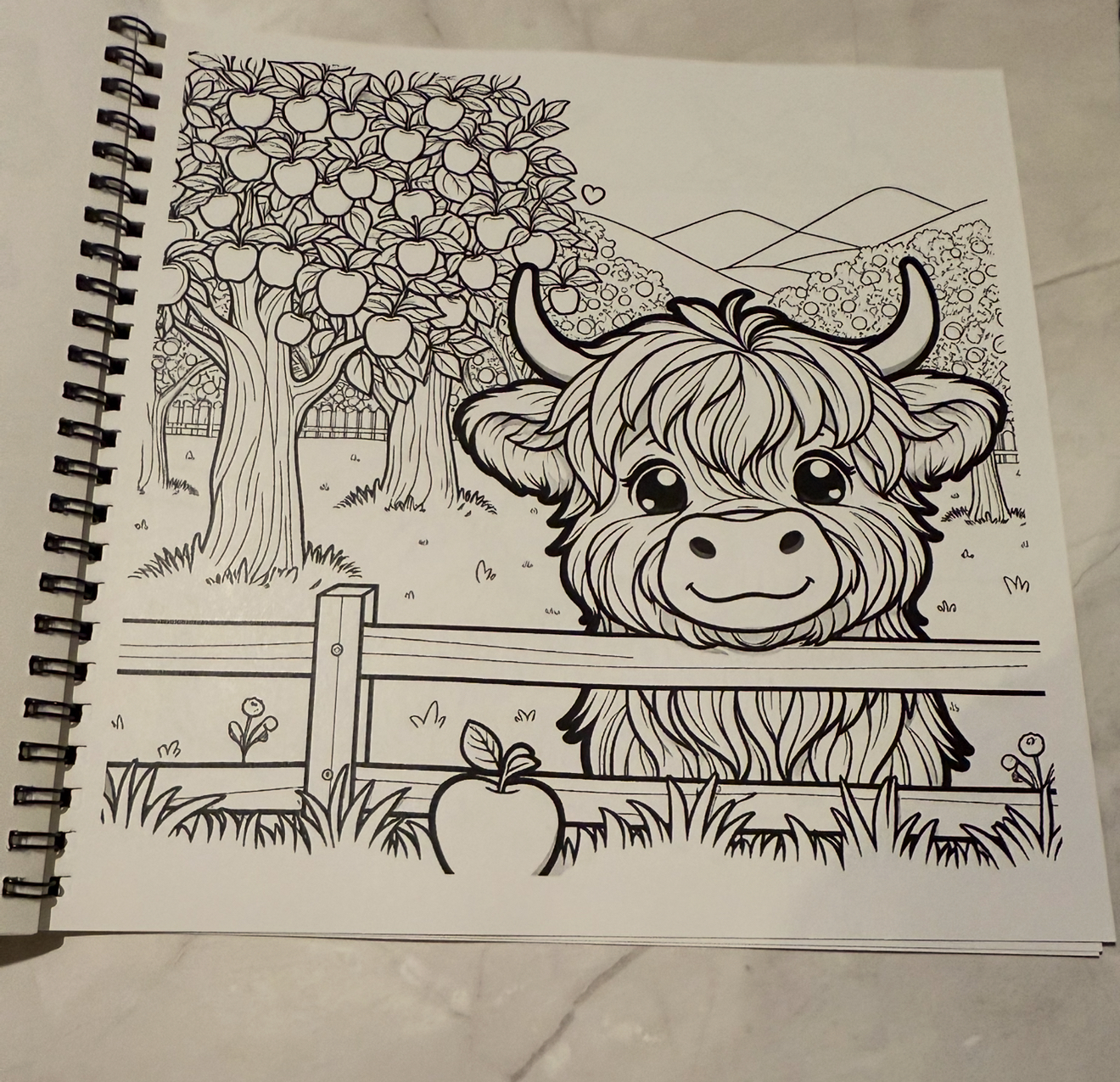 Highland Cow Coloring Book