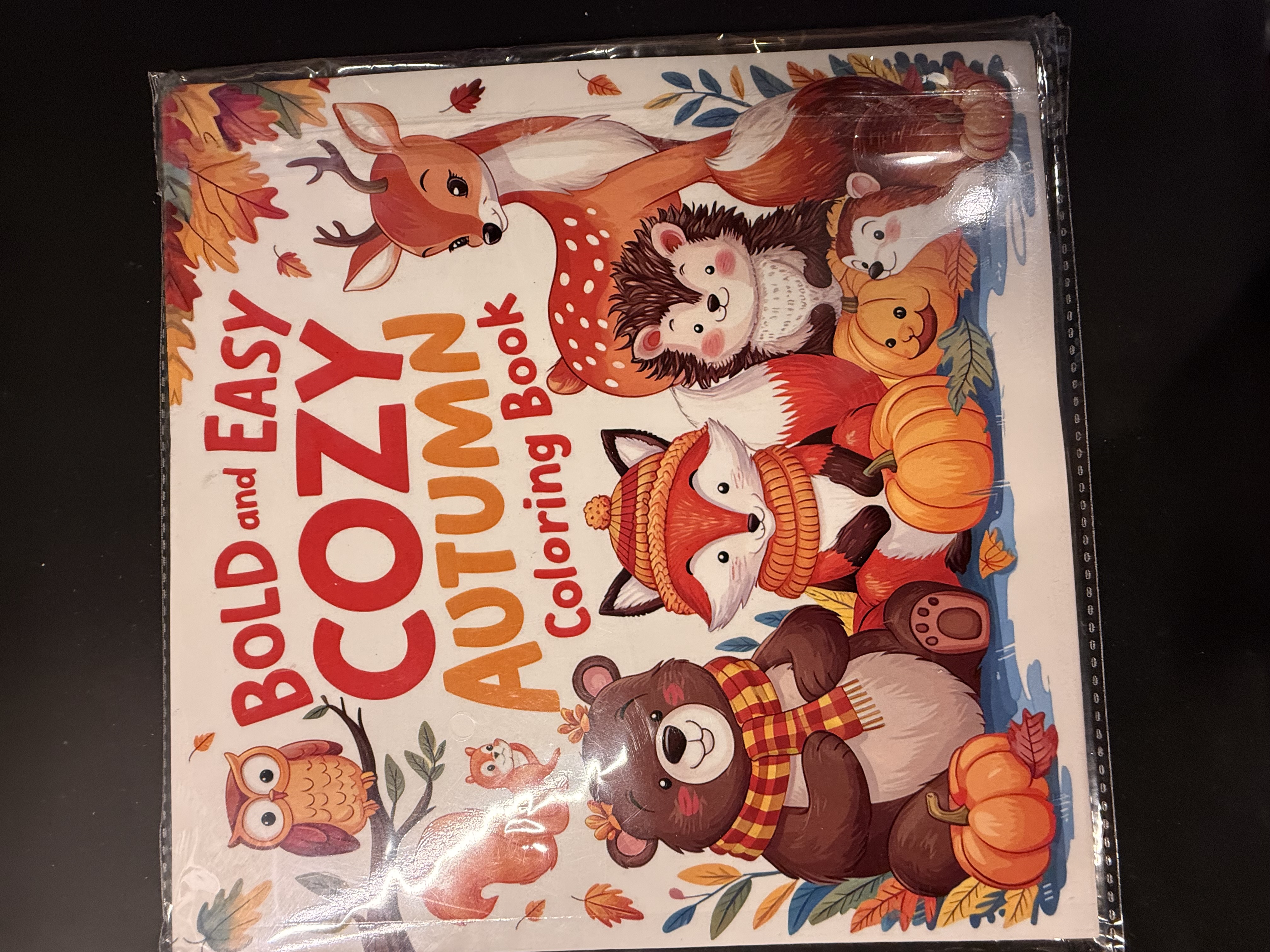 Bold and Easy Cozy Autumn Colouring Book