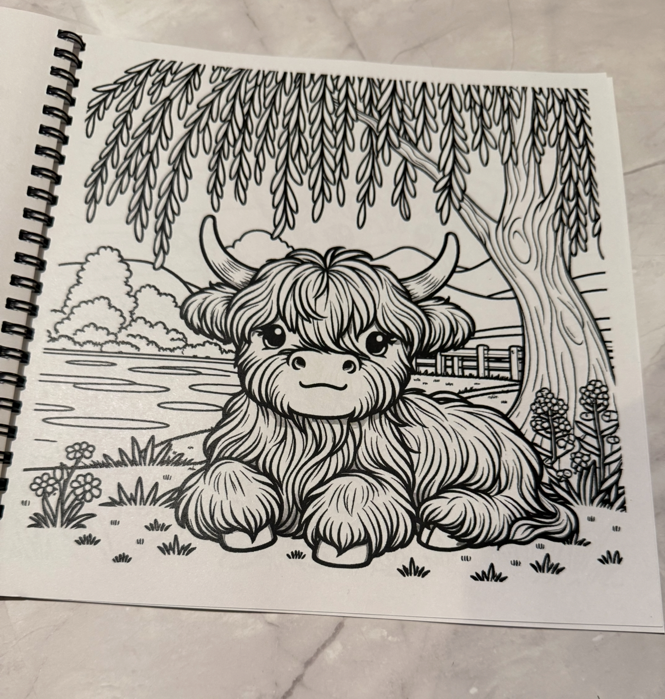 Highland Cow Coloring Book