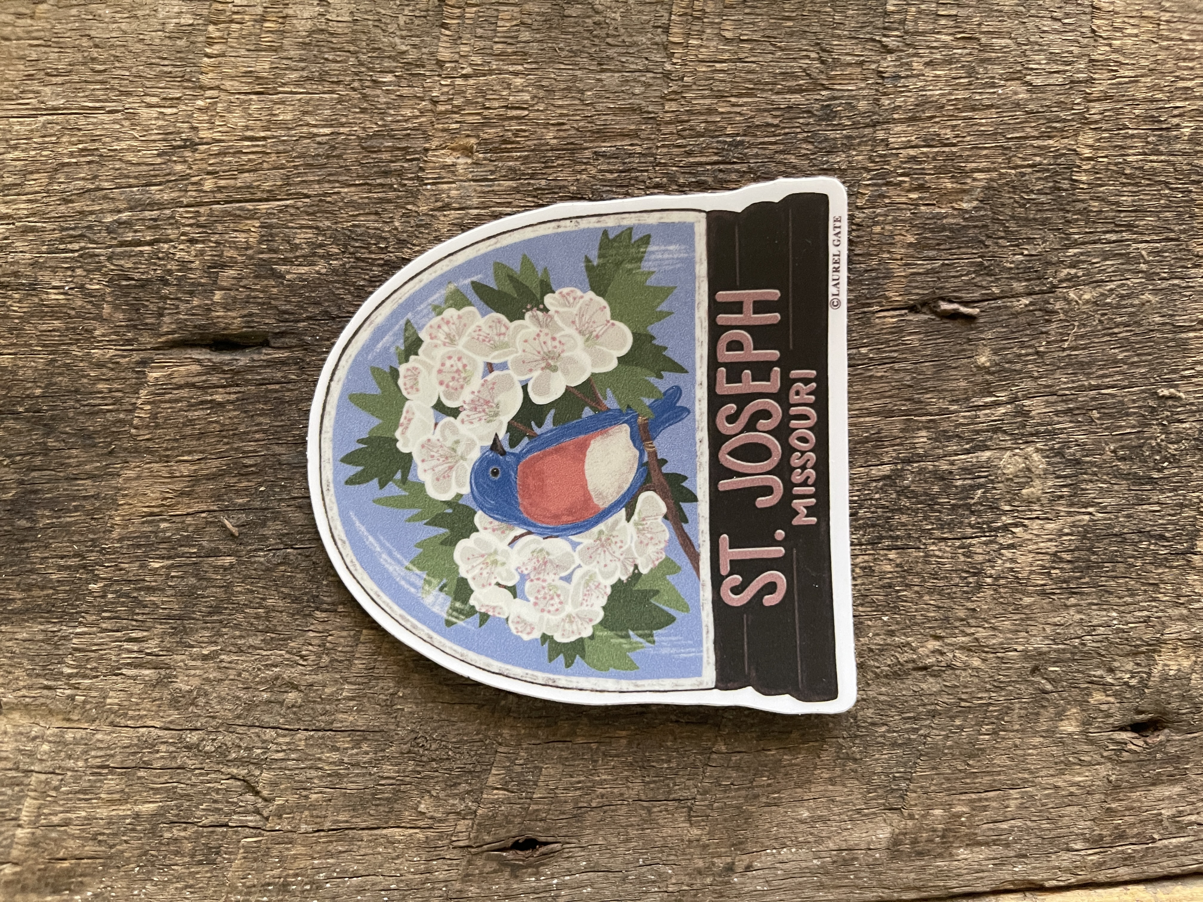 MO State Hawthorn Flower and Bluebird St. Joseph, Missouri Souvenir Magnet