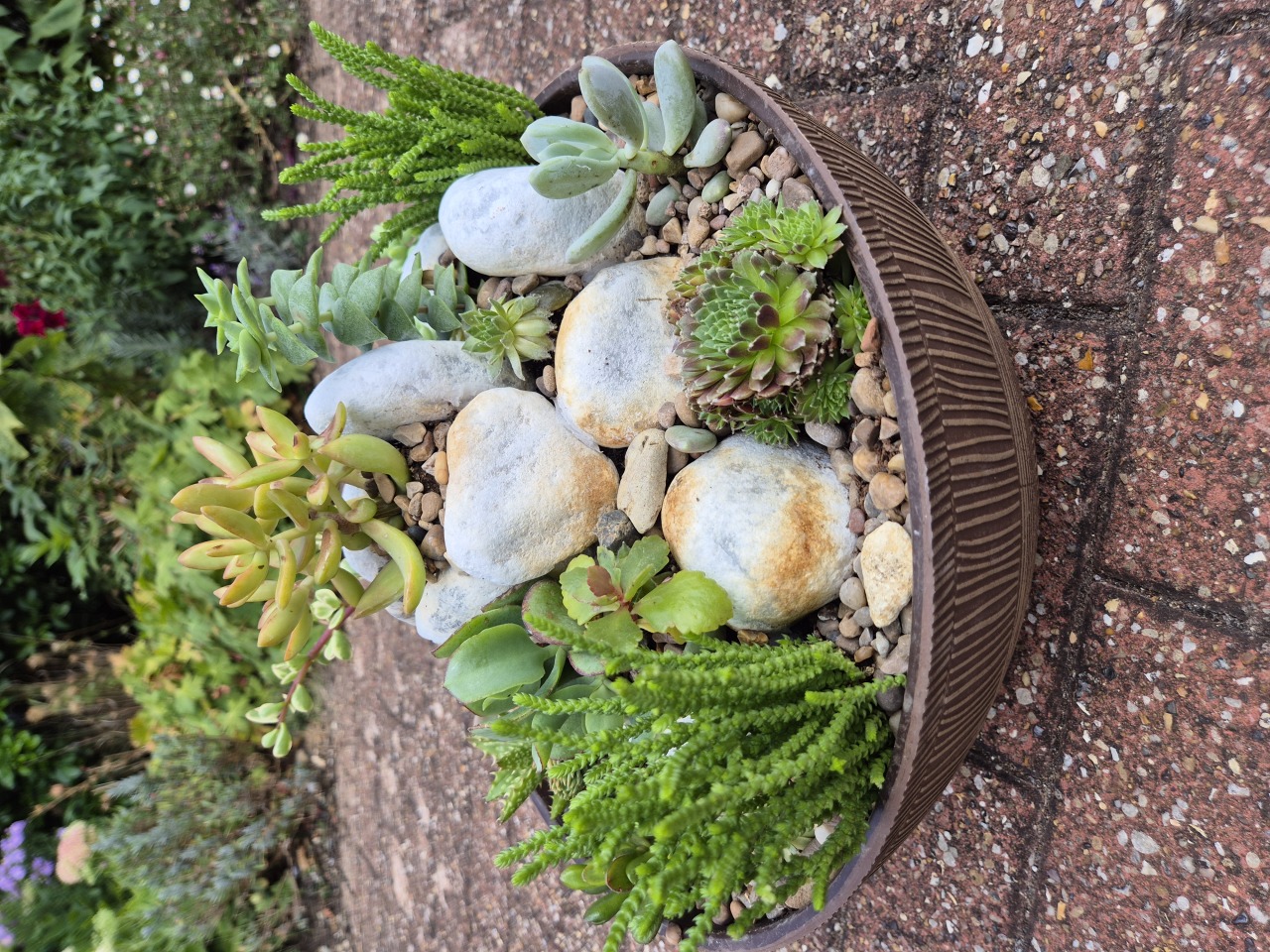 Succulent Miniature Rockery -35cm Bowl  (Ref: 3)
