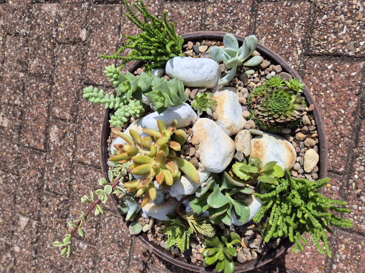 Succulent Miniature Rockery -35cm Bowl  (Ref: 3)