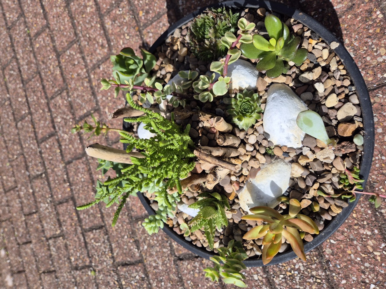 Succulent Miniature Rockery -35cm Black / White Speckled Bowl (Ref: 4)