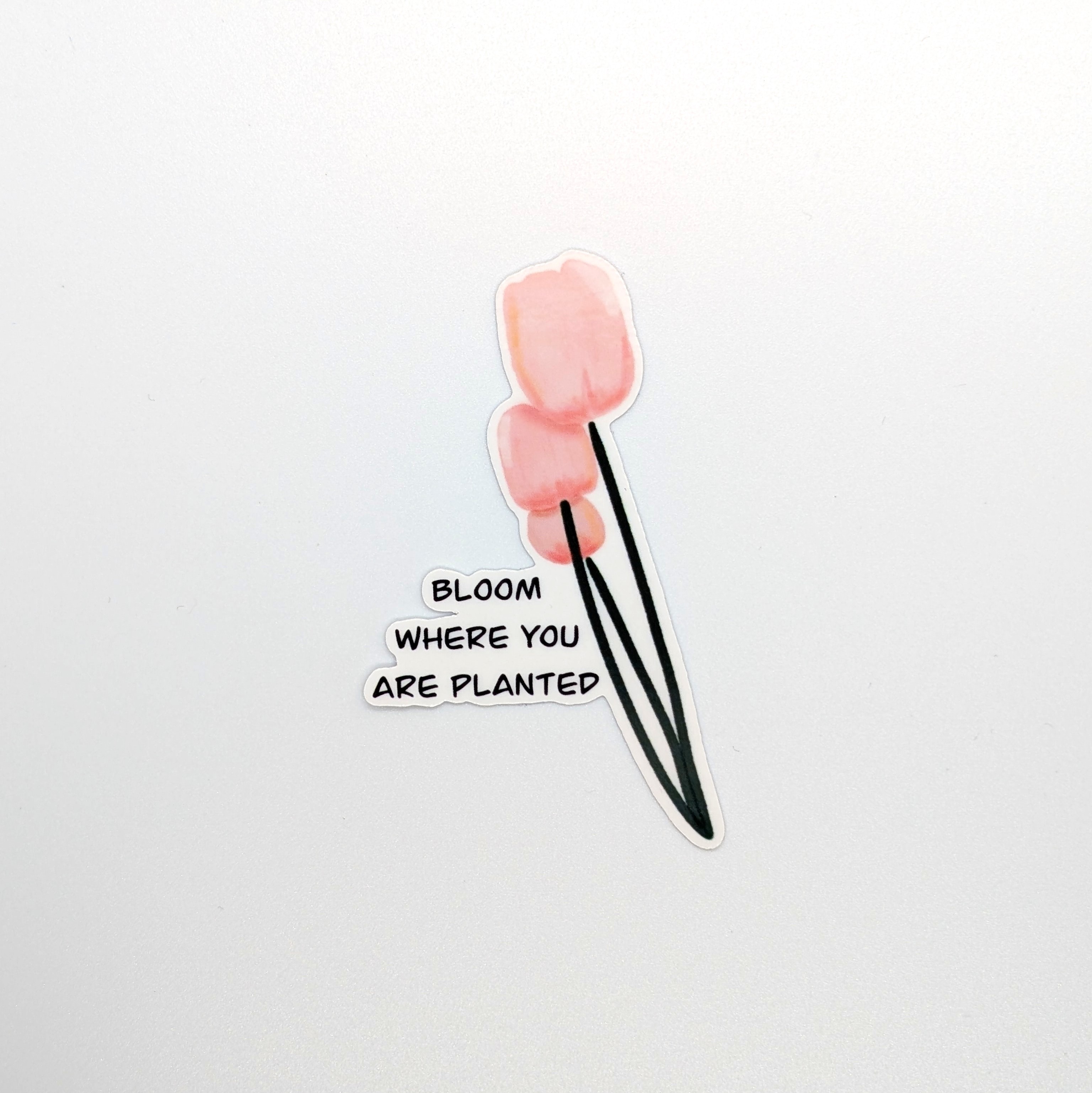 " Bloom Where You Are Planted " Sticker