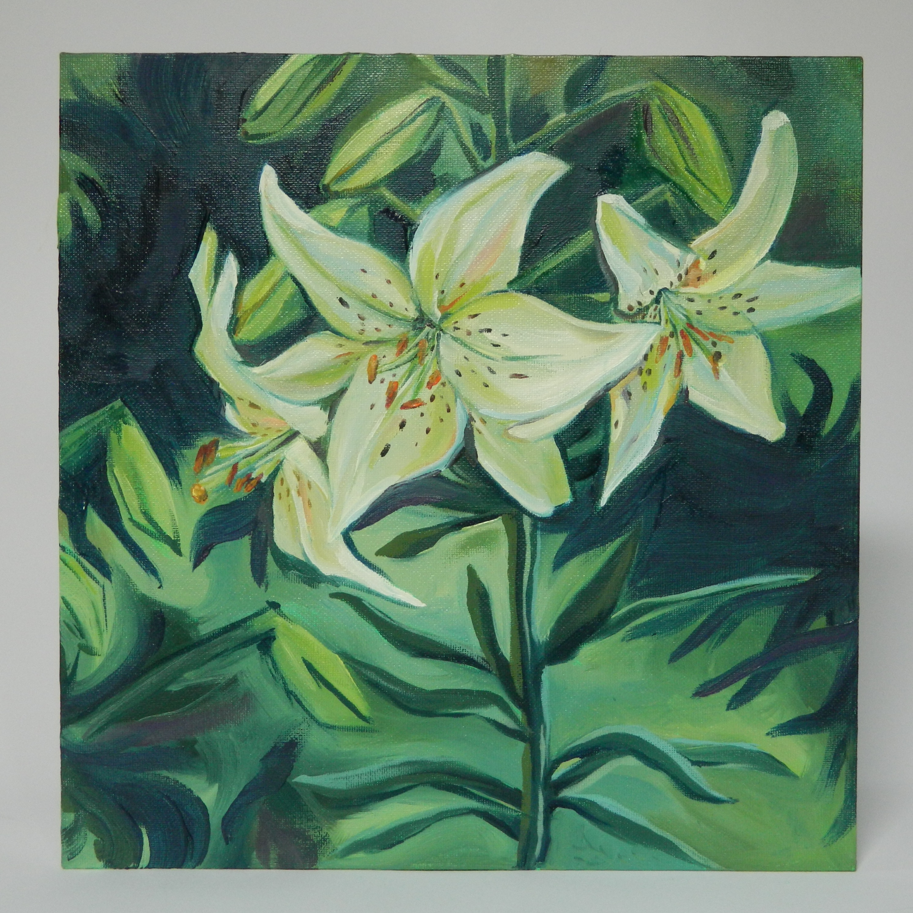 Lillies