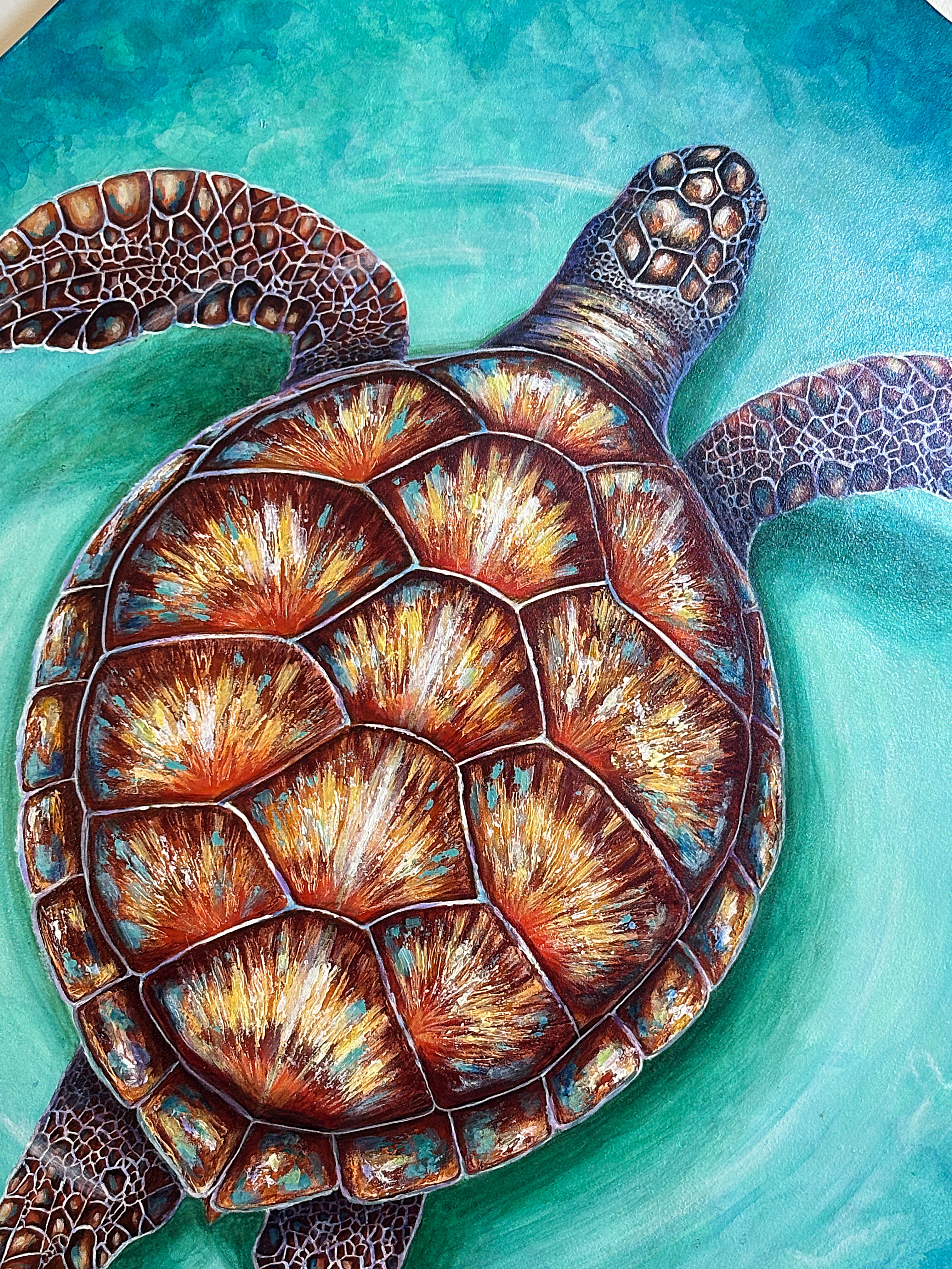 Sea Turtle Wall Art - an Abstract Contemporary wildlife painting