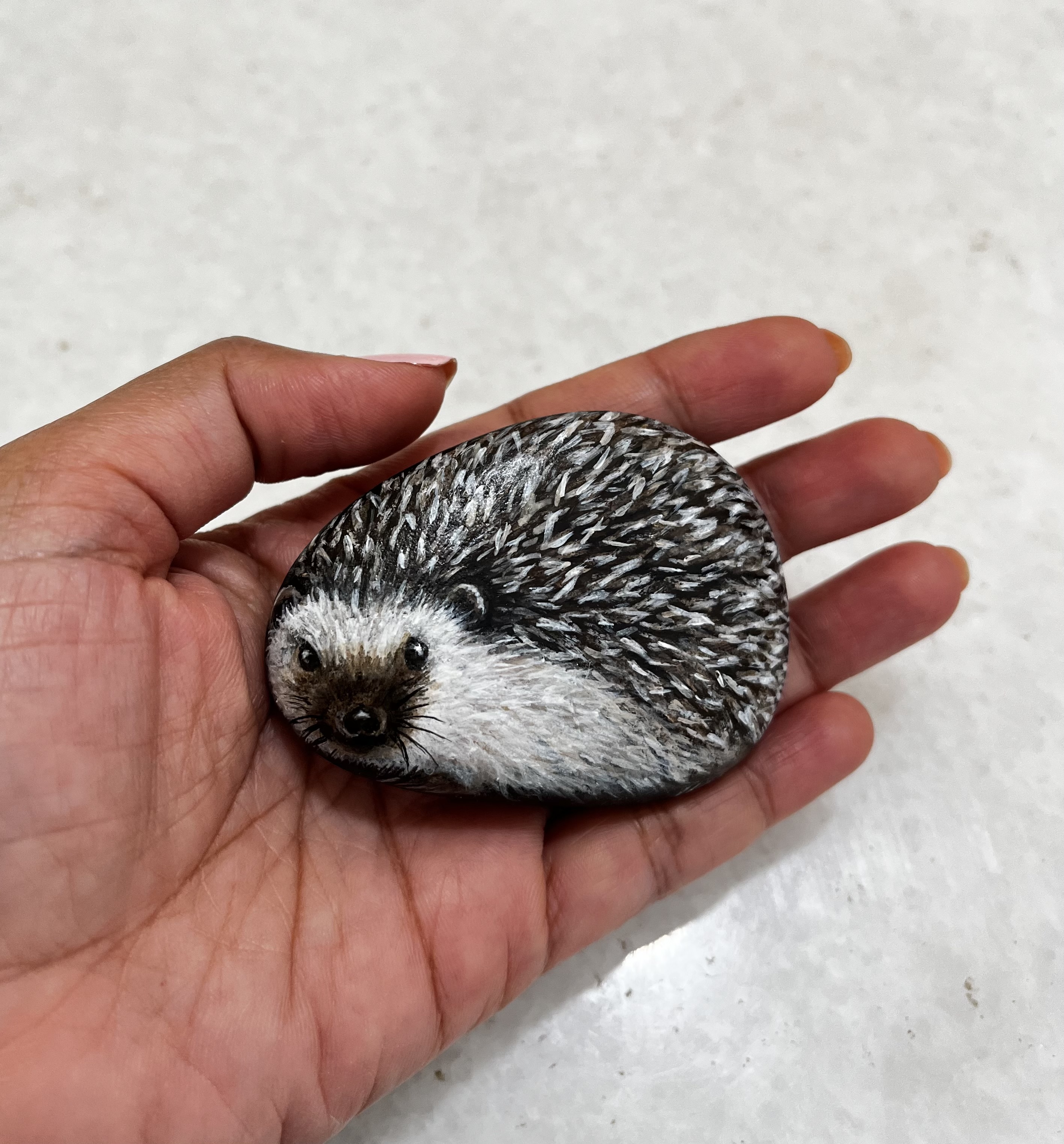 Hand-Painted Hedgehog Rock
