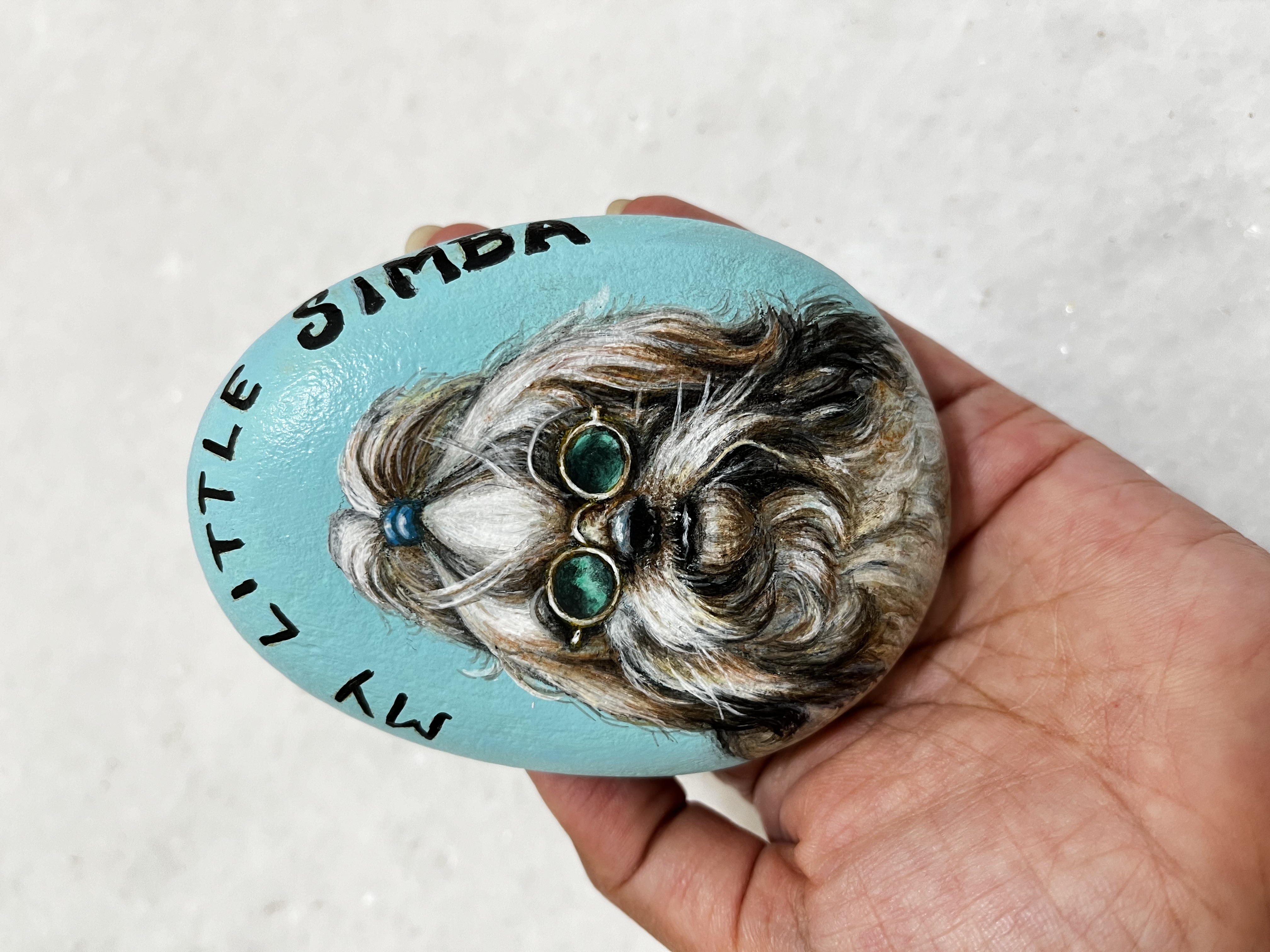Hand-Painted Pet Portrait Rock