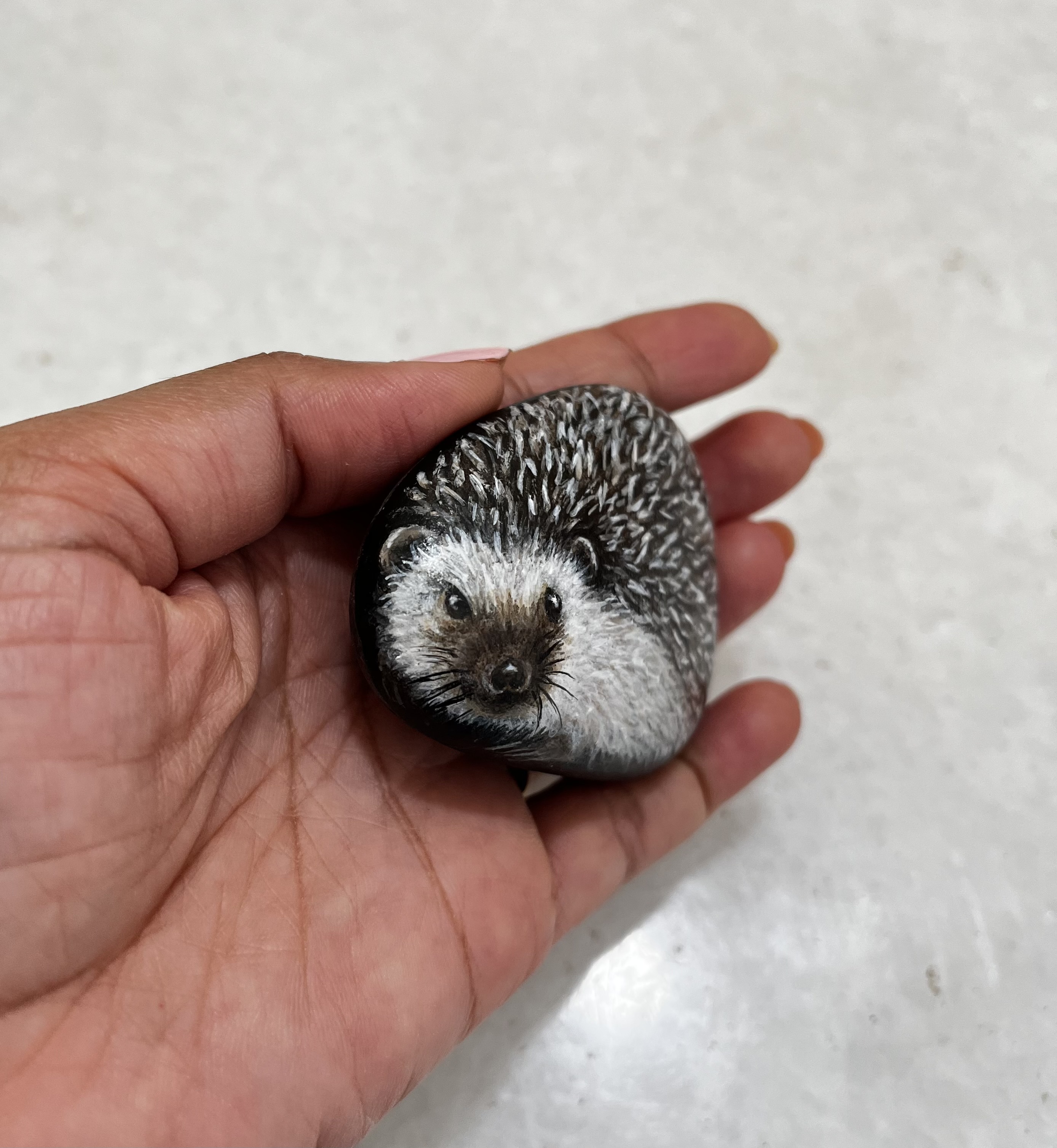 Hand-Painted Hedgehog Rock