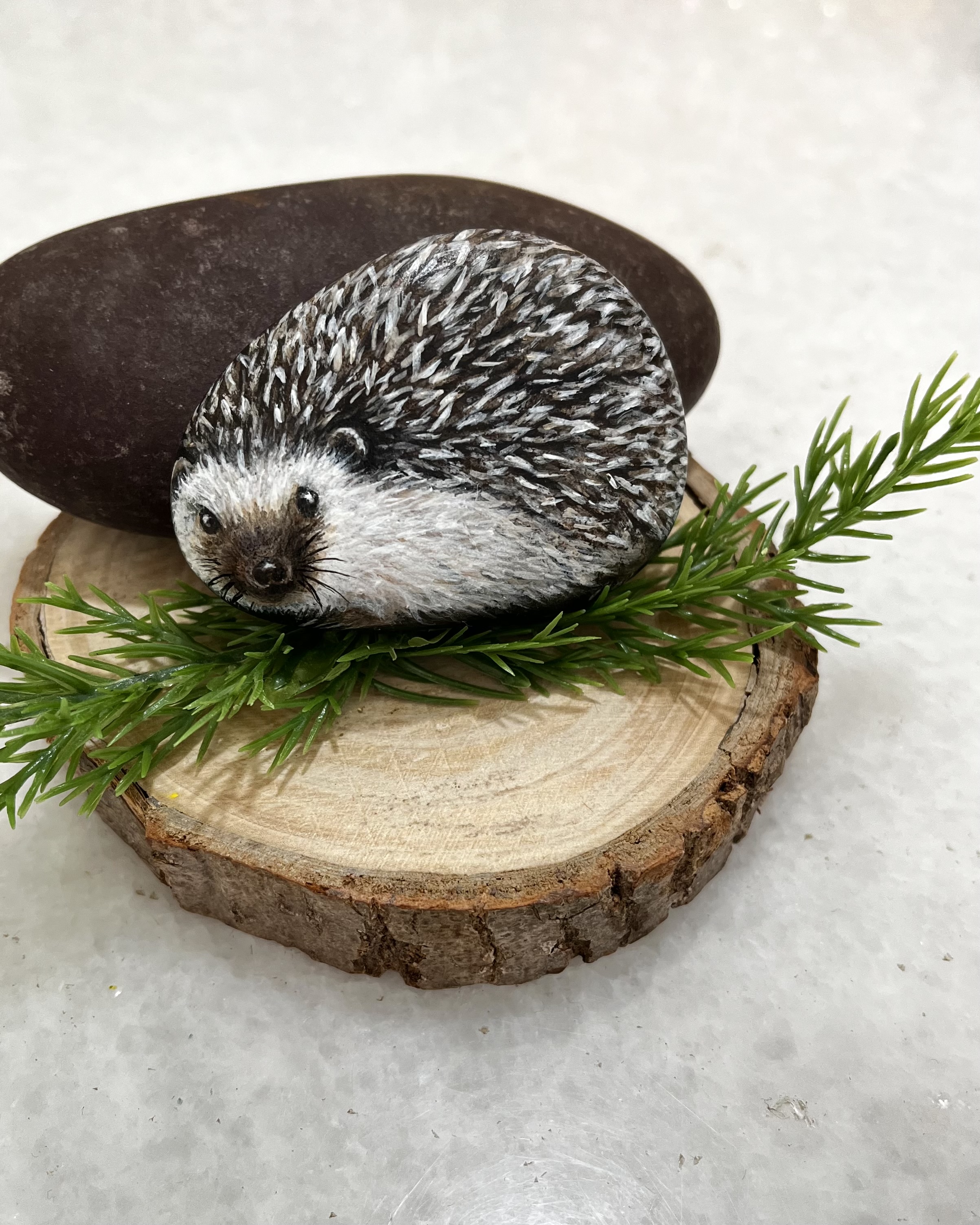 Hand-Painted Hedgehog Rock