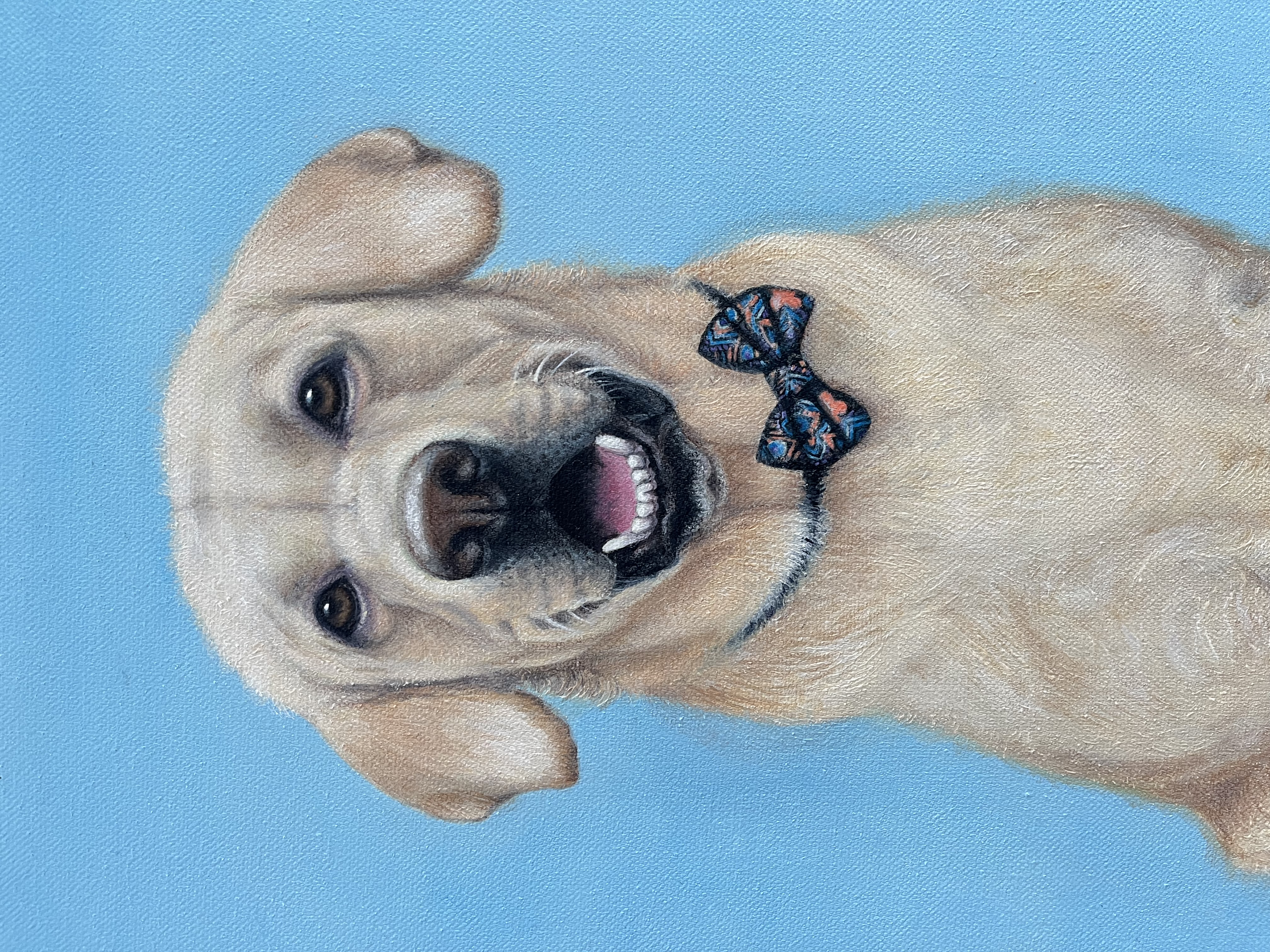 Custom Hand painted Dog Portrait on Canvas