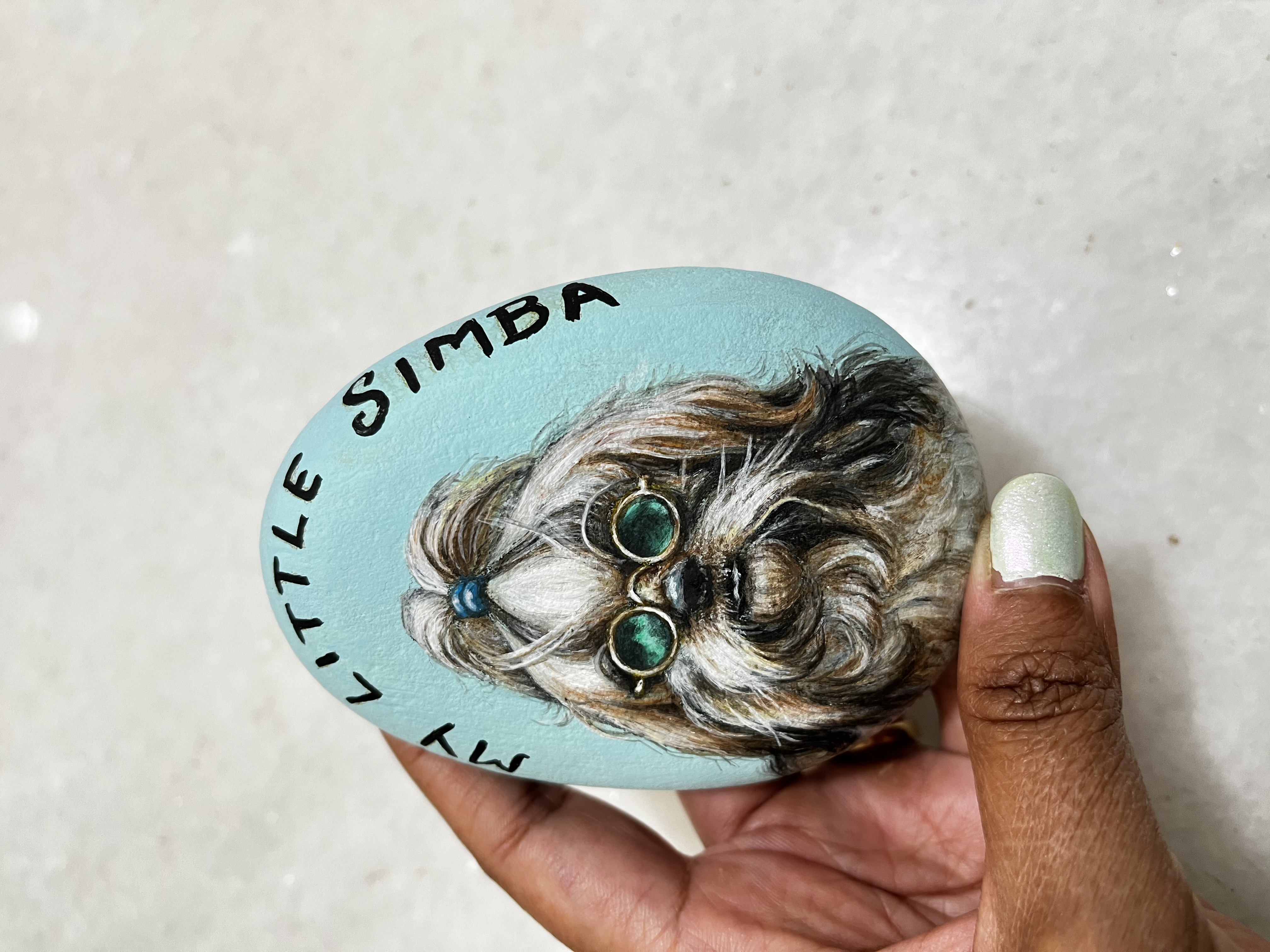 Hand-Painted Pet Portrait Rock