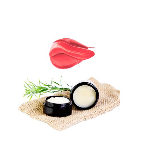 DK HERBAL LIP MOISTURISING CREAM ( 15 Grams )