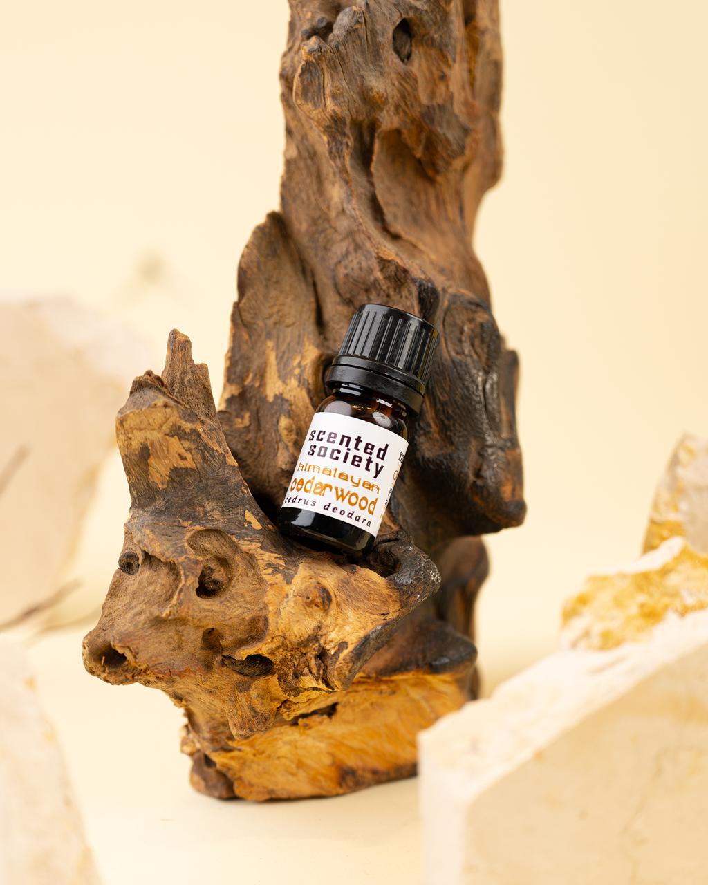 HIMALAYAN CEDAR WOOD