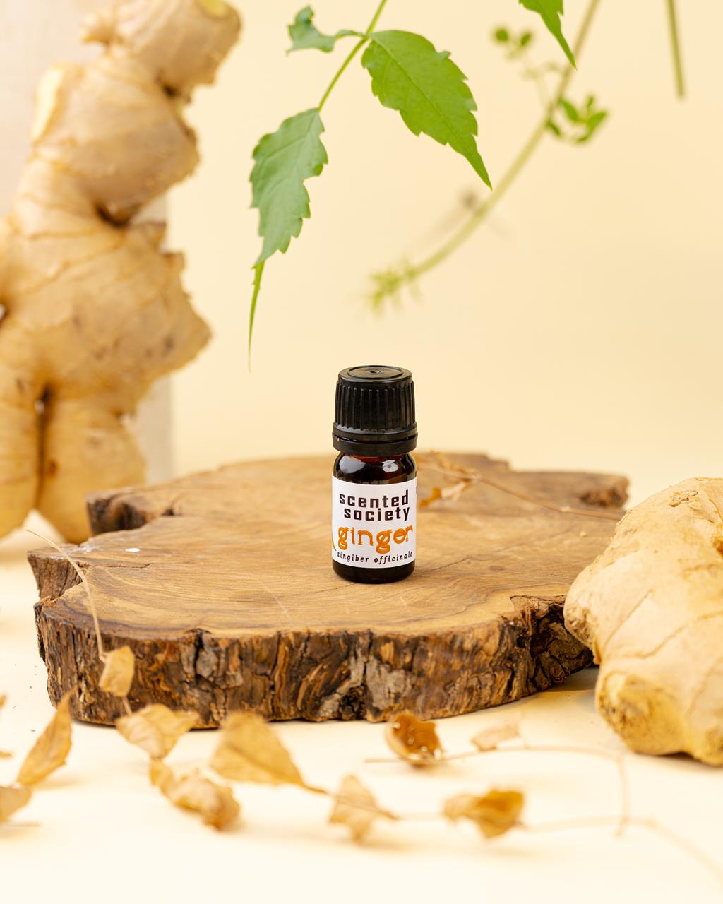Ginger Essential Oil