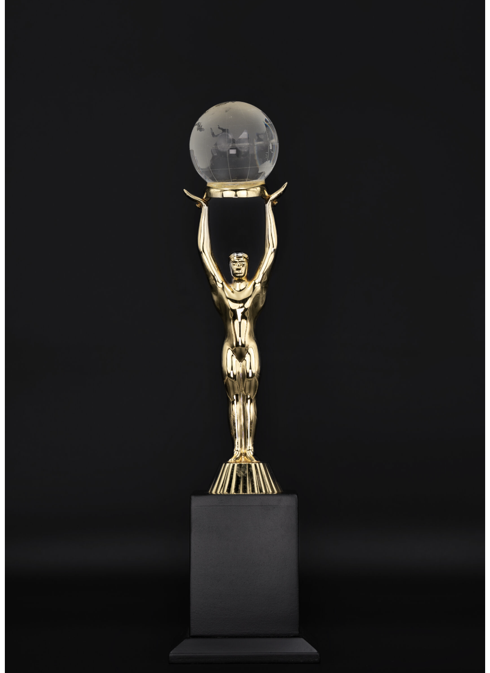 HERCULES GLOBE AWARD