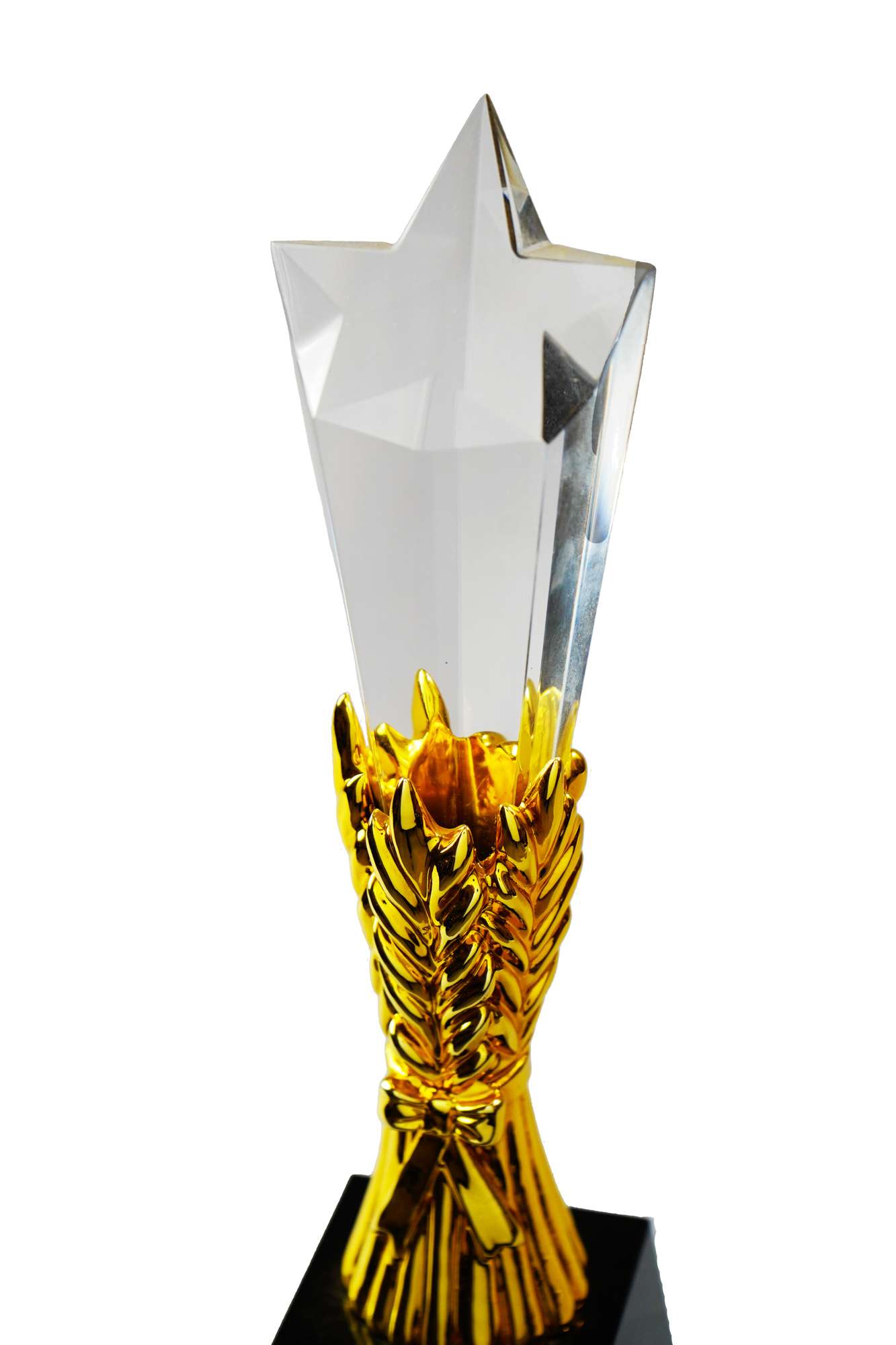 Crystal Trophies & Brass Trophies