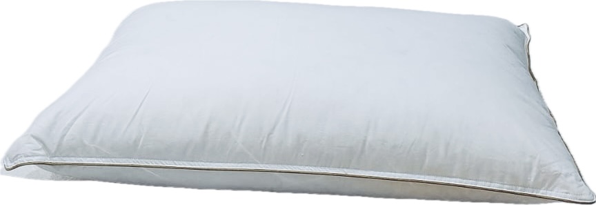 Oreiller en duvet