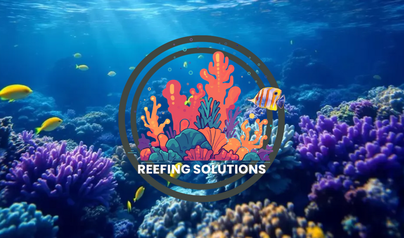 Reefing Solutions Gift Cards