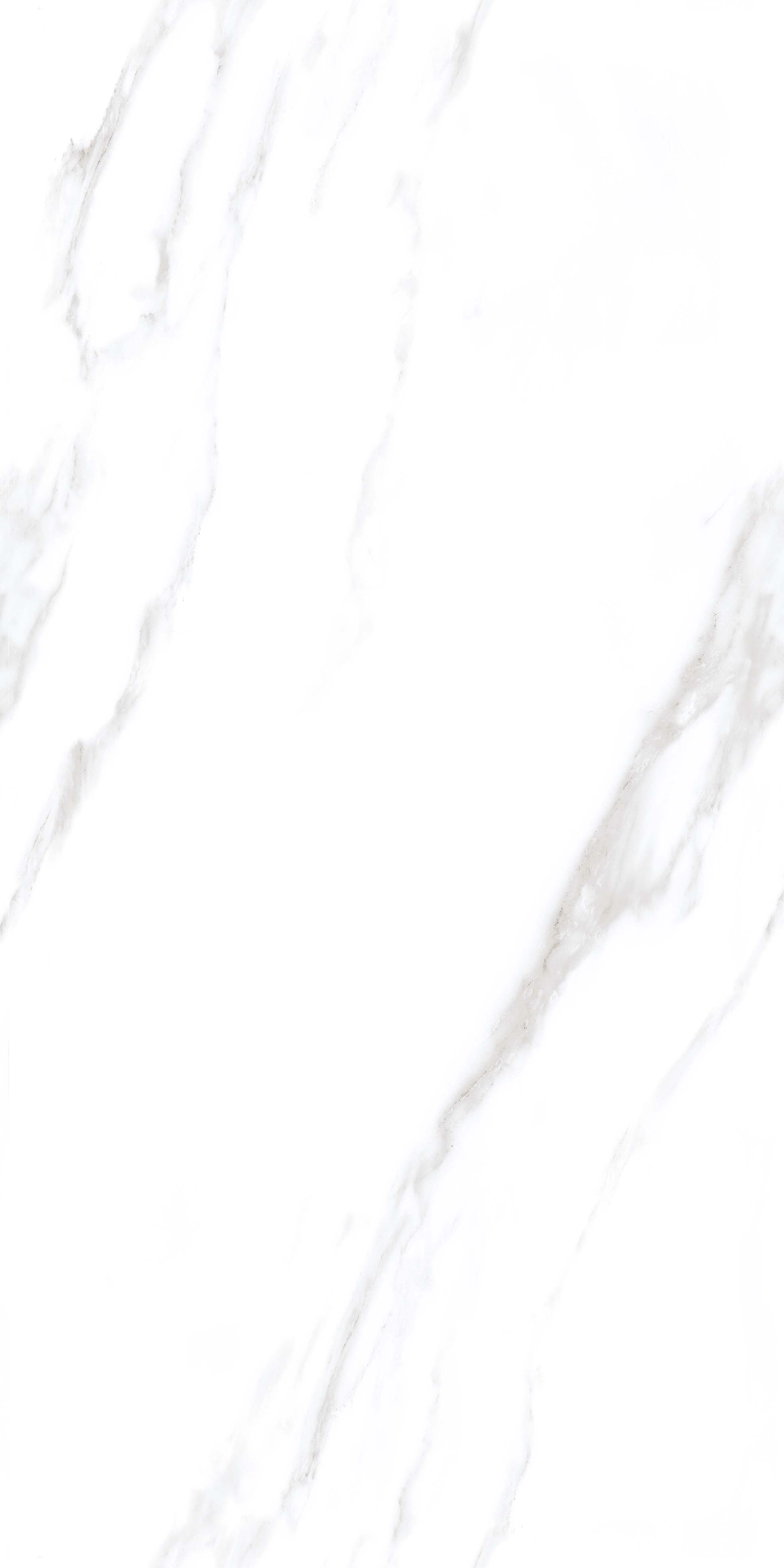 ELLIPSE STATURIO GLOSSY