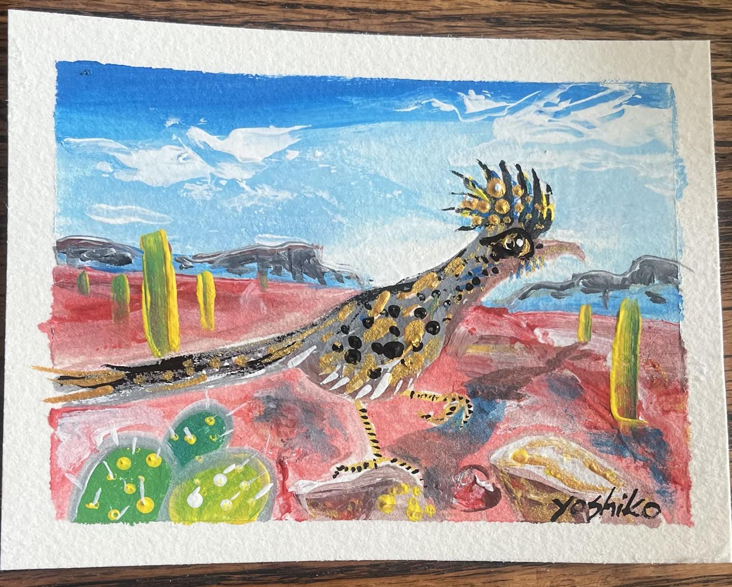 Roadrunner in Arizona 