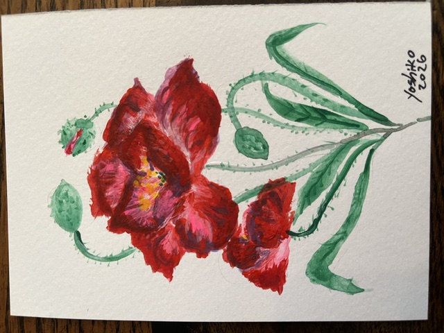 Acrylic Postcard with envelope "Red Flowers' /アクリリック画材ポストカード封筒付き「赤い花」