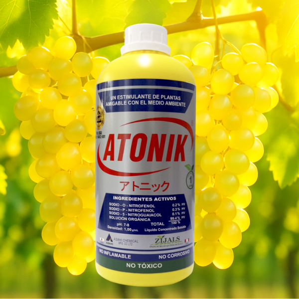 ATONIK