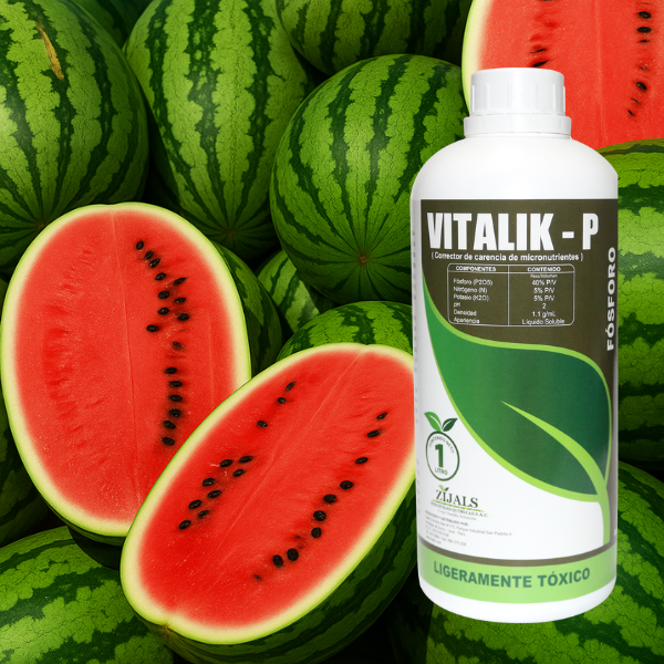 VITALIK - P