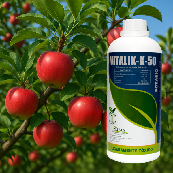 VITALIK - K 50