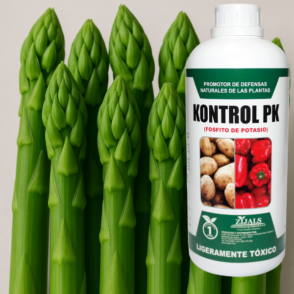 KONTROL PK
